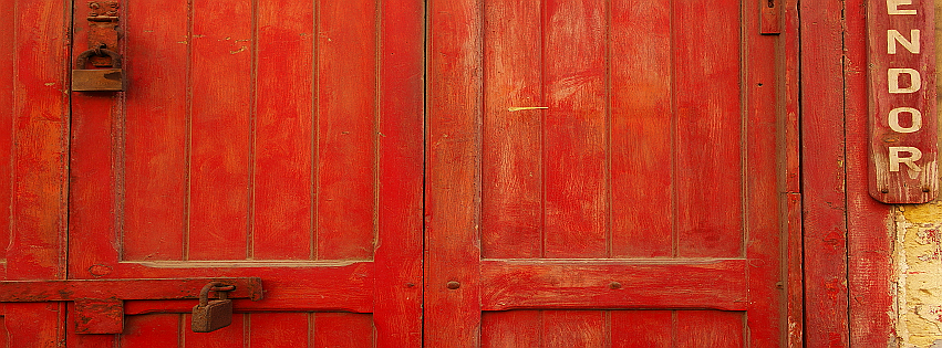 termite reverie by Rim Afana — image 1 of 5