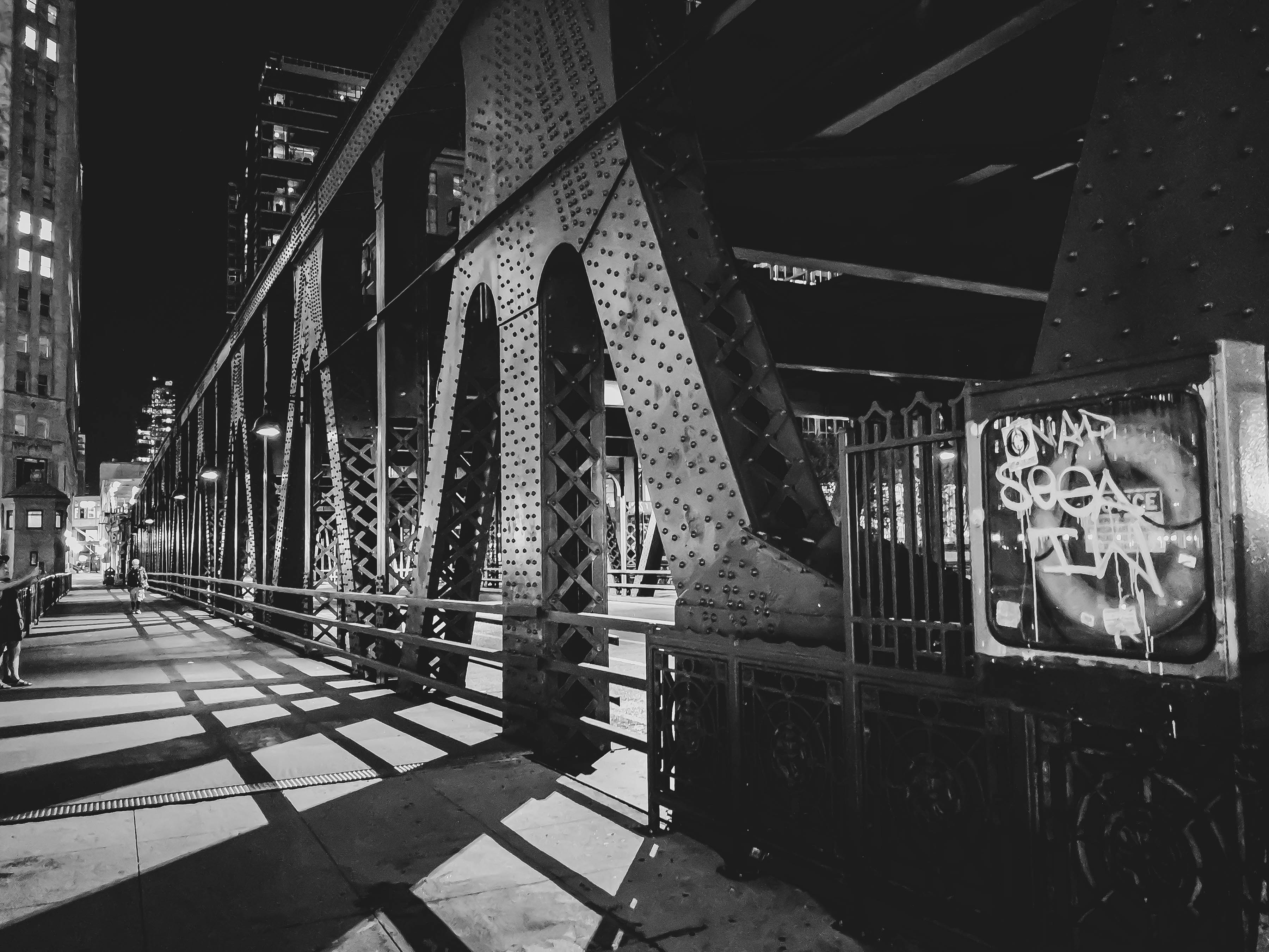 A Day Without Color by Sherri Rose — image 1 of 5