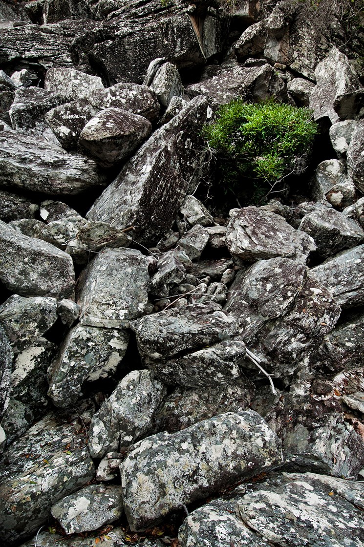 Green Earth Stone by Guilherme Bergamini — image 1 of 5