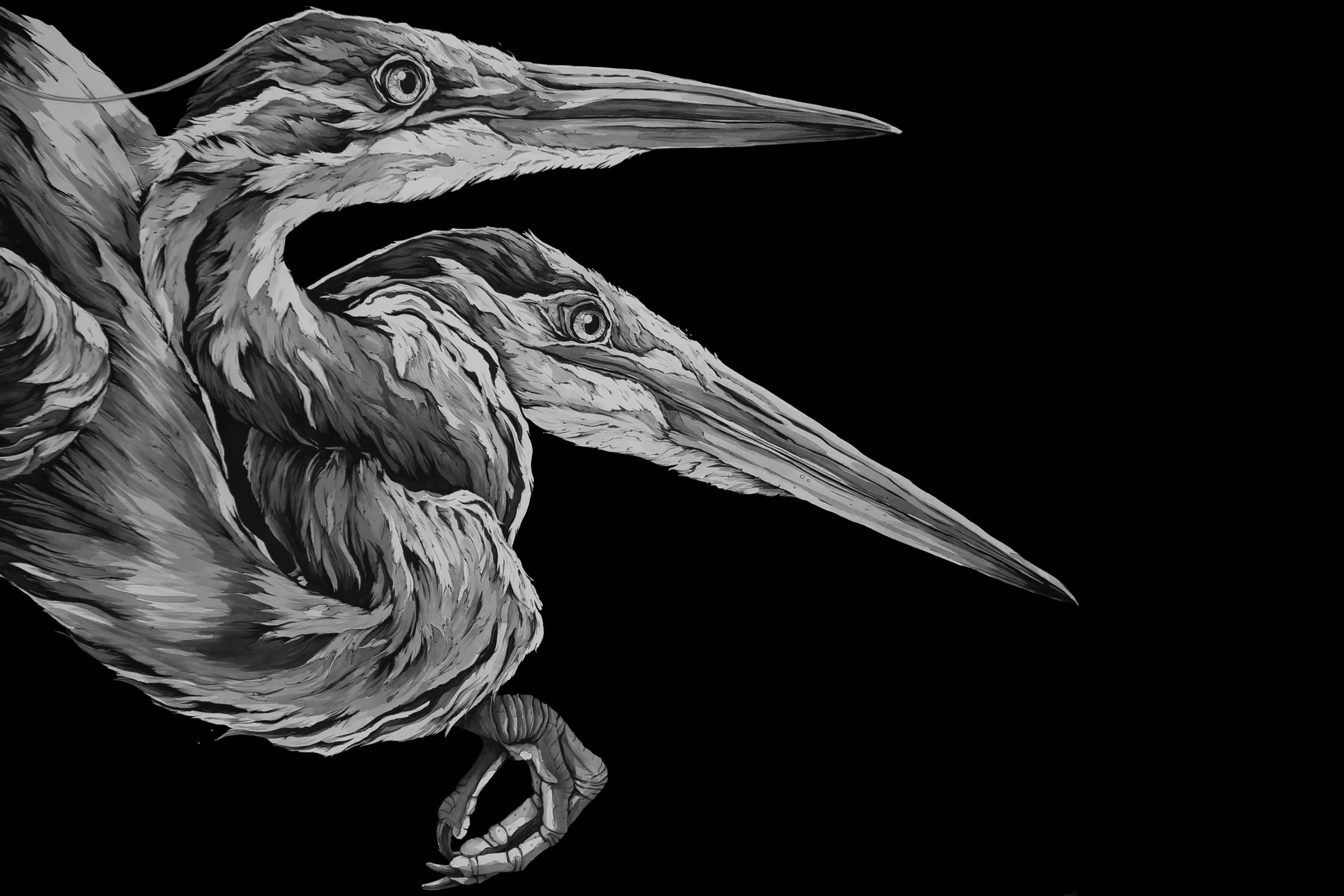 Illustrations by Alexander Landerman — image 1 of 5