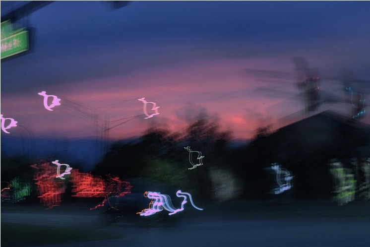 Purple City by Evan Palmer — image 1 of 4