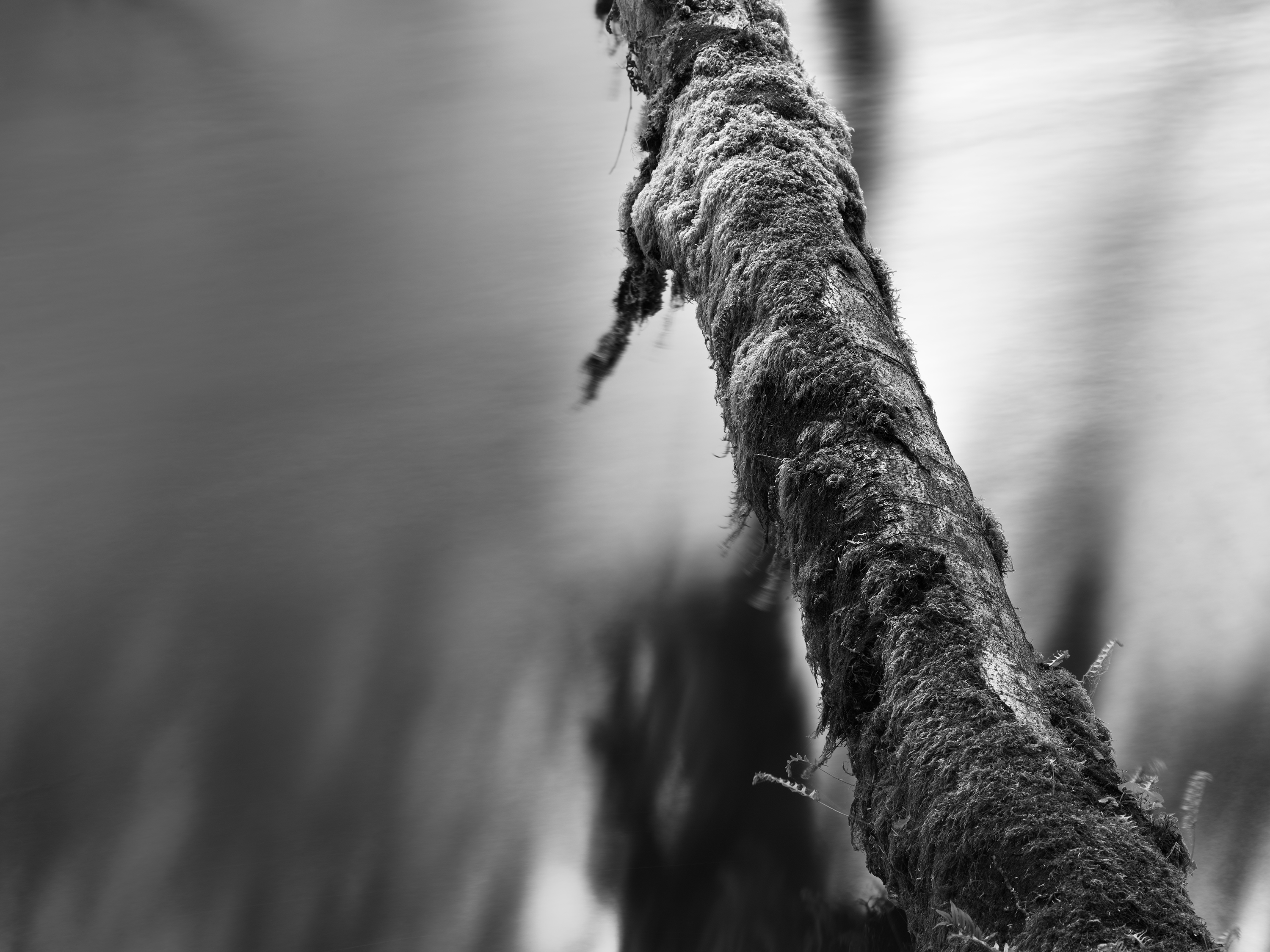 Everything is Full of Gods by Pacific Northwest — image 1 of 5