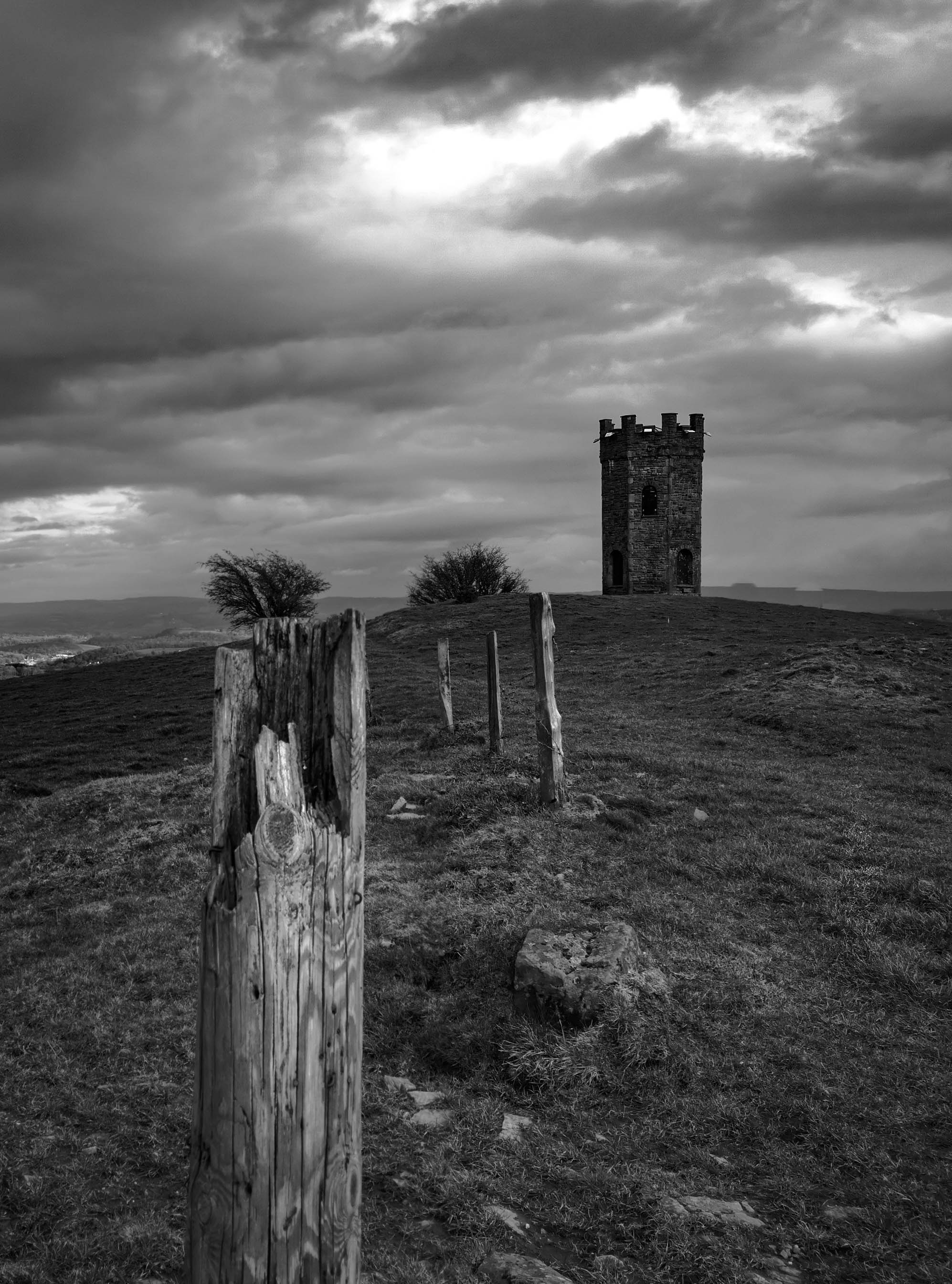 A Day Without Color by Sherri Rose — image 2 of 5