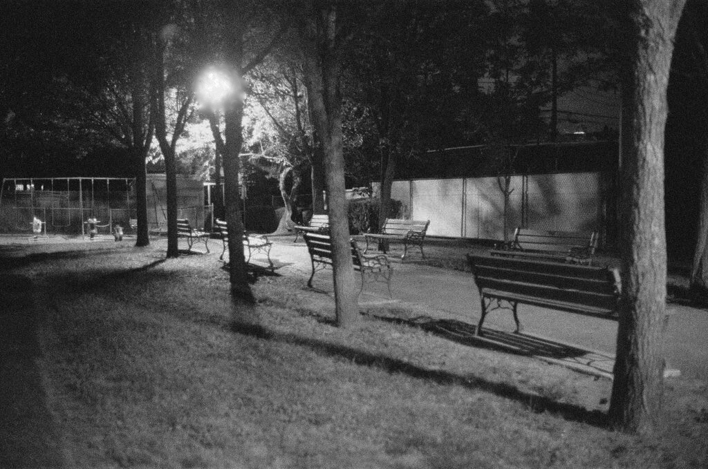 Almost Gone by Denise M Oehl — image 1 of 6