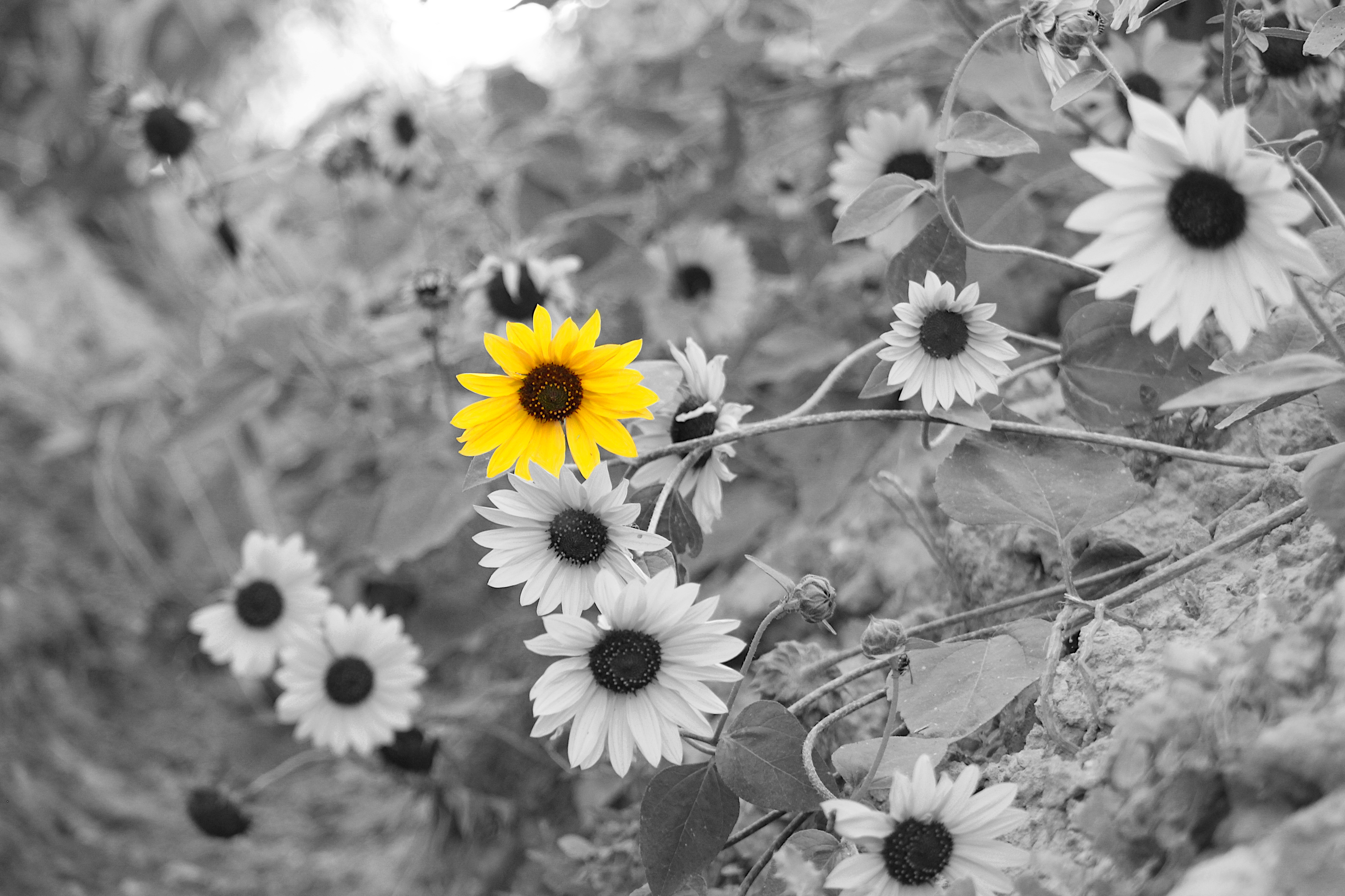 Photography by Corinna German — image 1 of 5