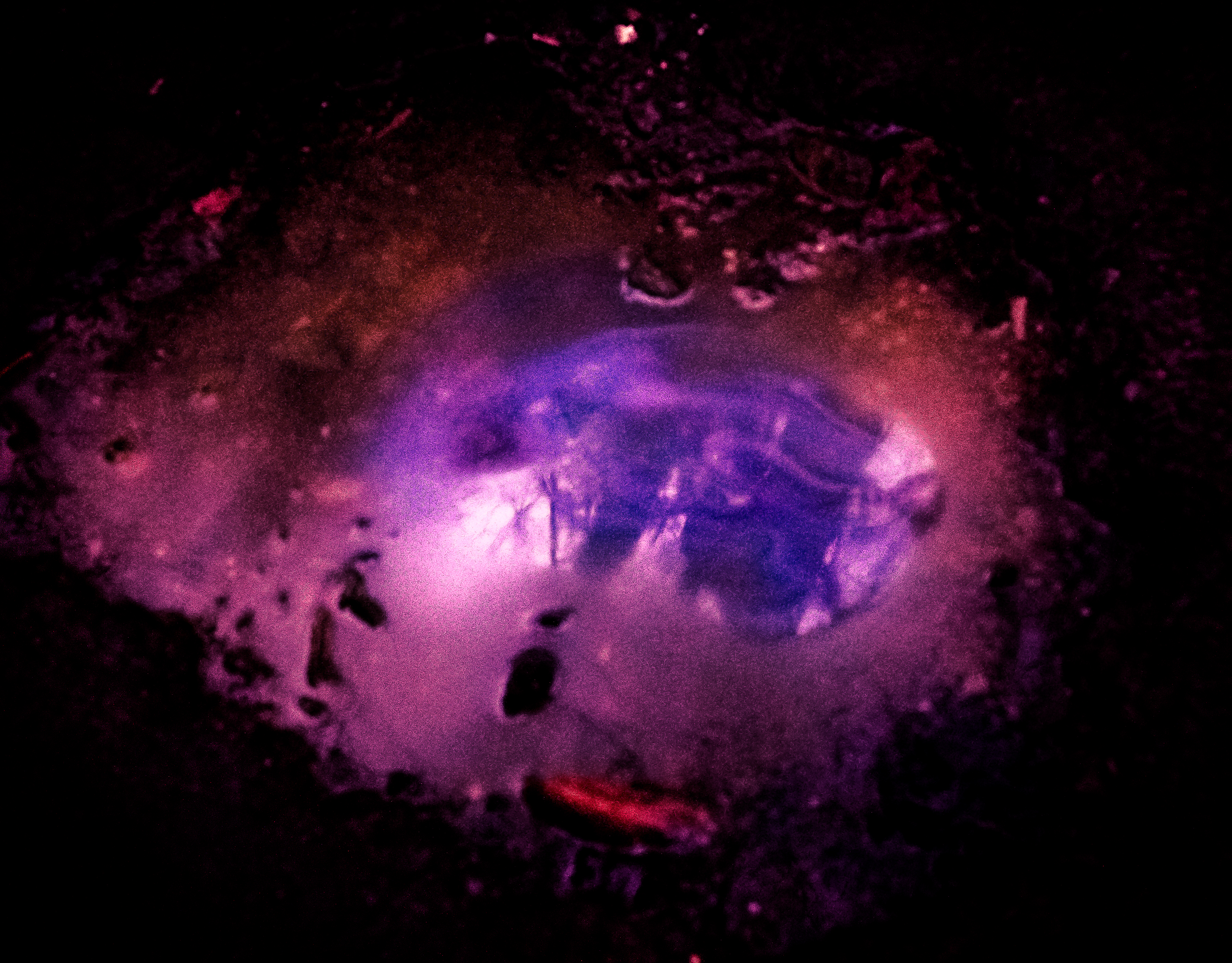 Reflections by Ace Ferrer — image 1 of 5