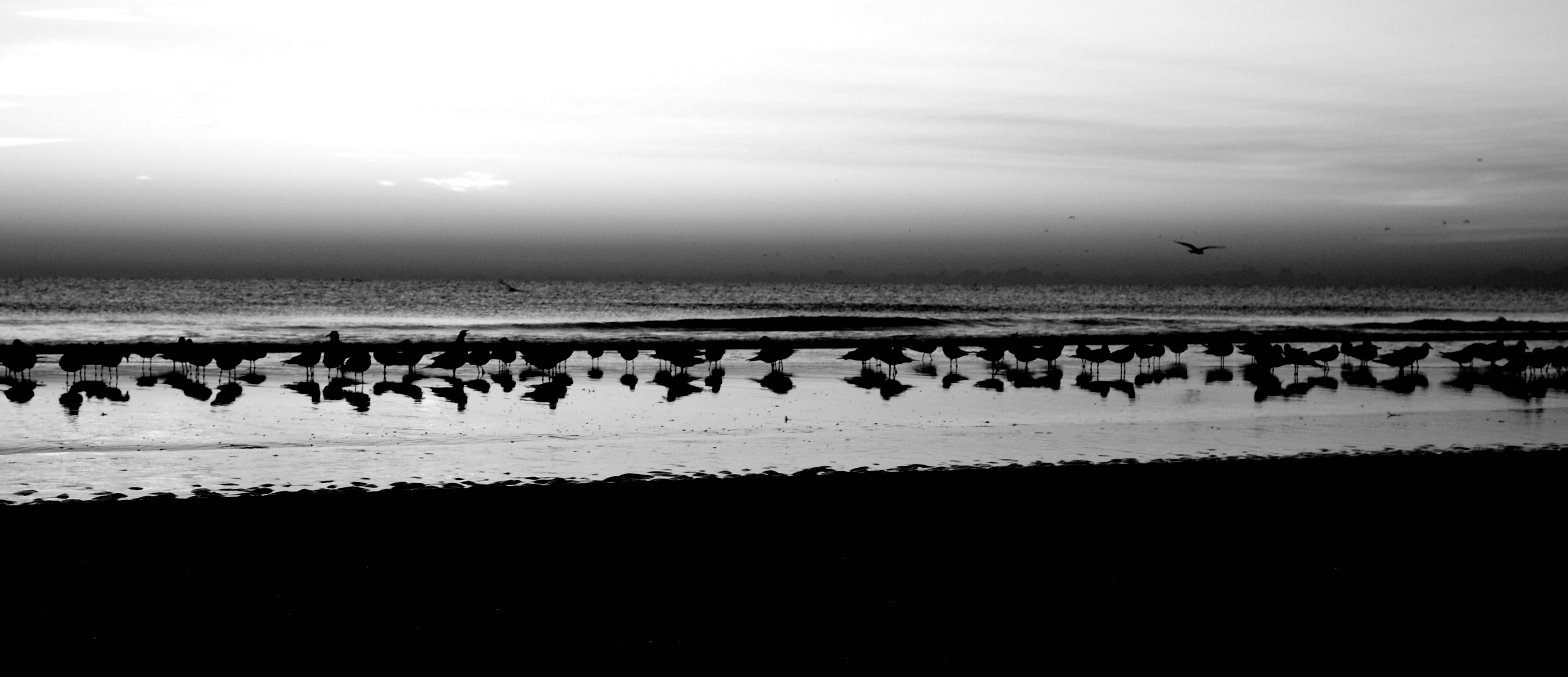 waiting for the sun by George L Stein — image 1 of 6