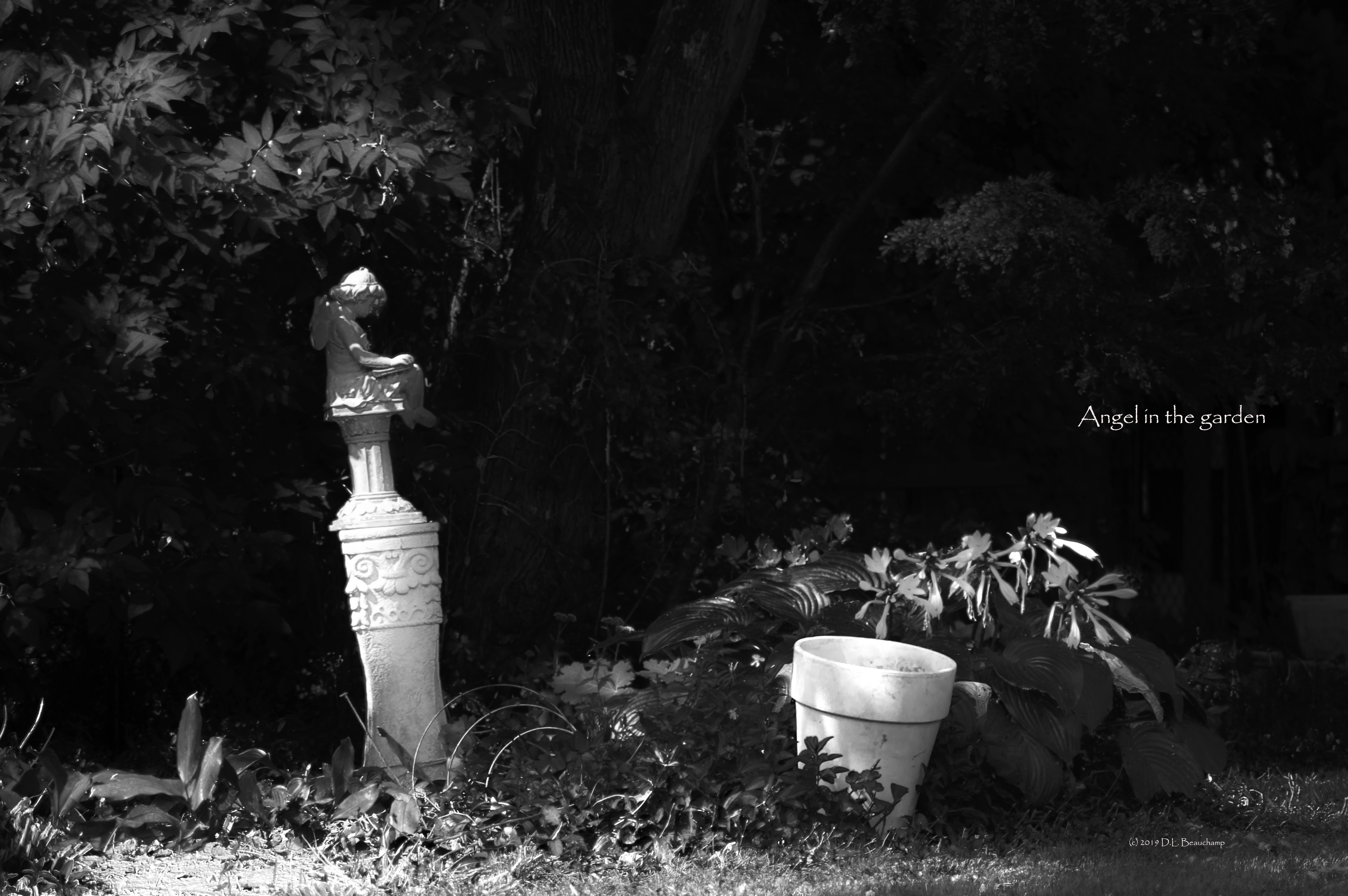 Reflections by Deborah Beauchamp — image 1 of 5