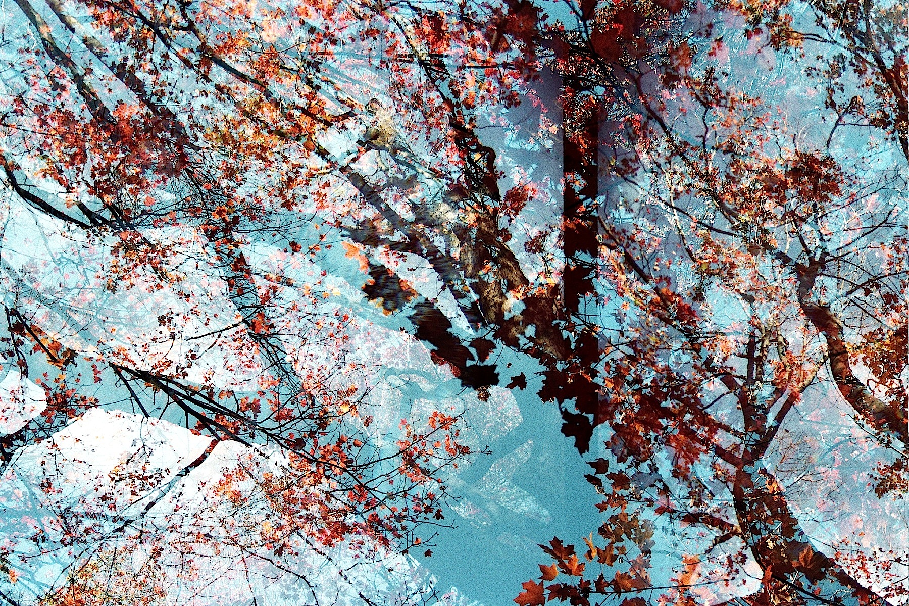 Transitory Space by Leah Oates — image 1 of 6