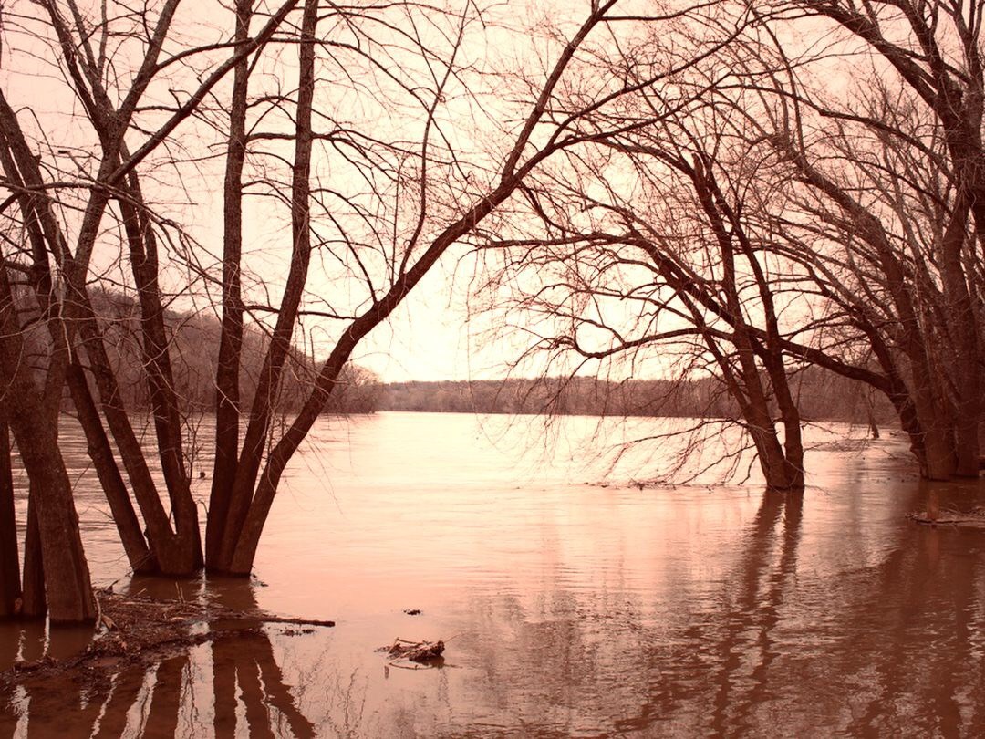 Photography ​ by Russell Whaley — image 1 of 4