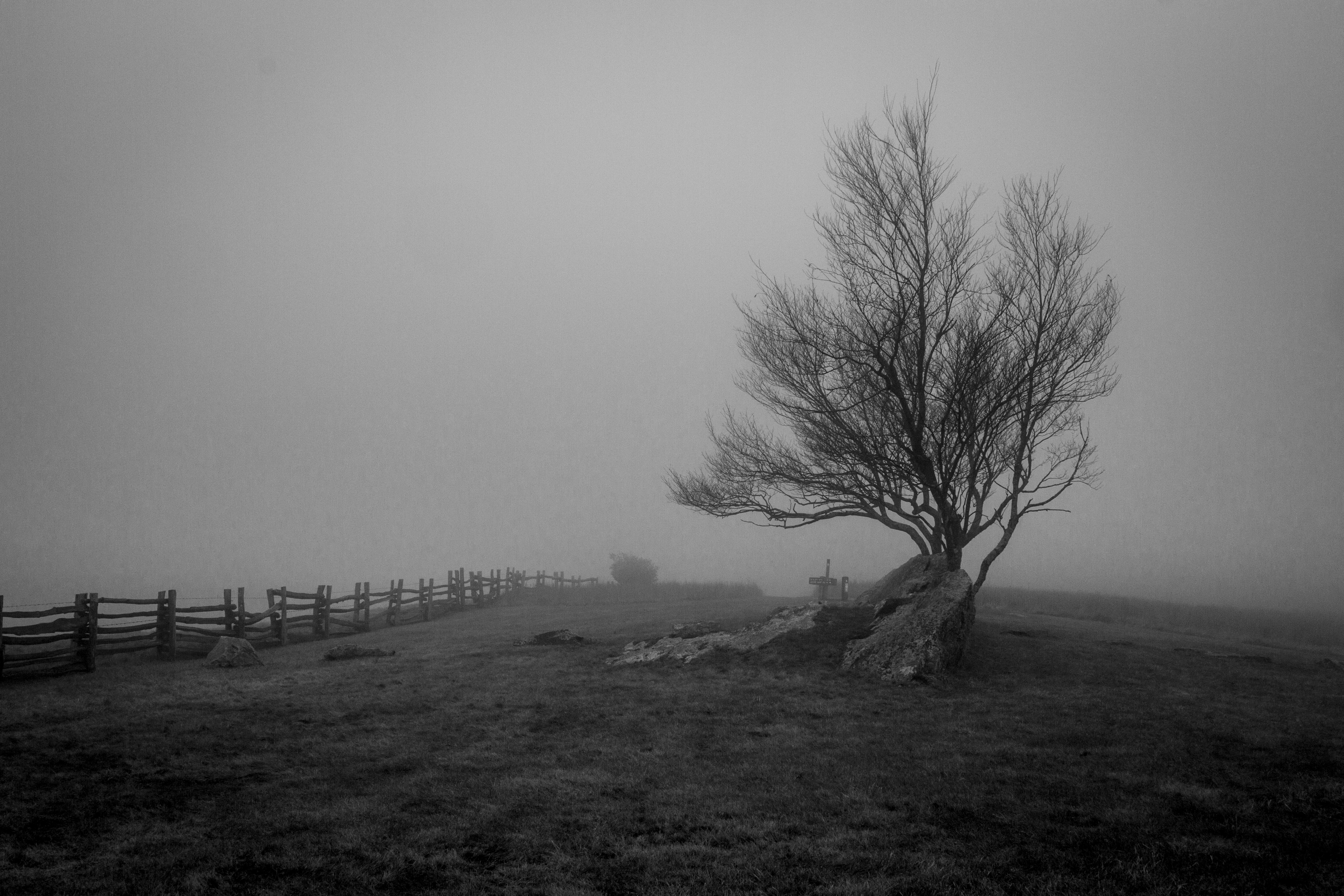 Escarpment Fog by Benjamin Erlandson — image 1 of 5