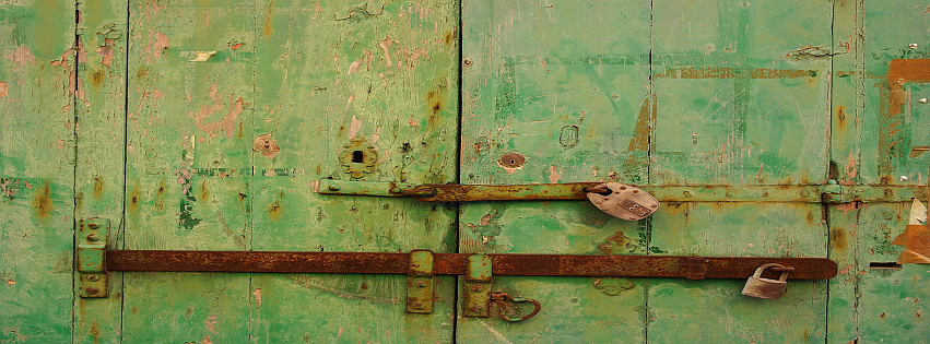 termite reverie by Rim Afana — image 2 of 5