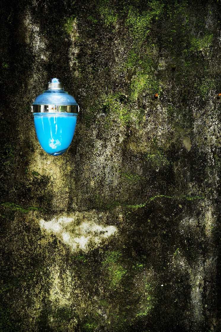 Green Earth Stone by Guilherme Bergamini — image 2 of 5