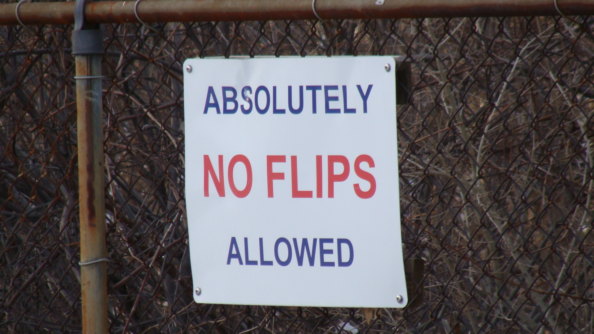 Purple Zebra & No Flipping Way by Mick Ó Seasnáin — image 1 of 2