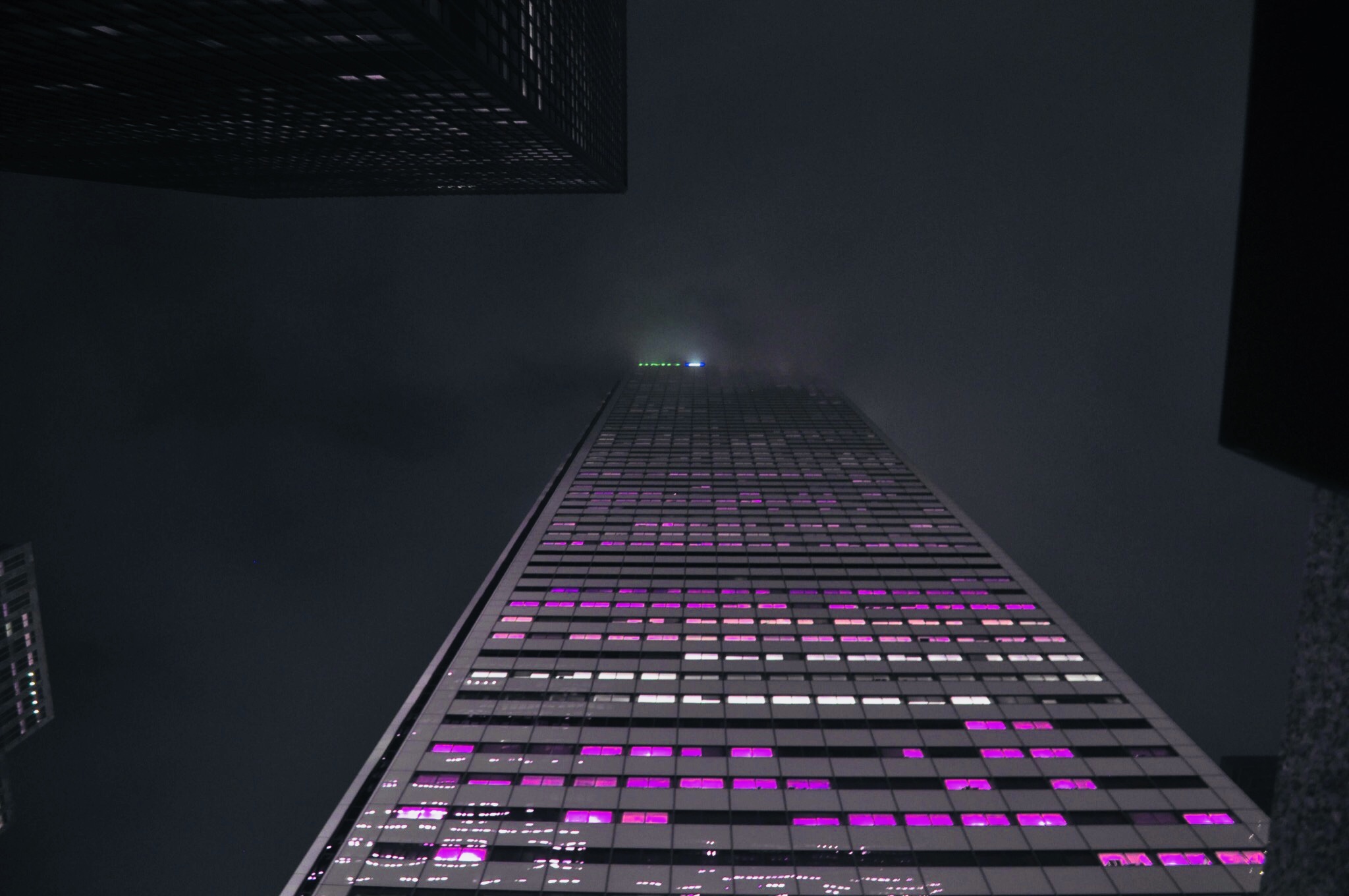 Purple City by Evan Palmer — image 2 of 4