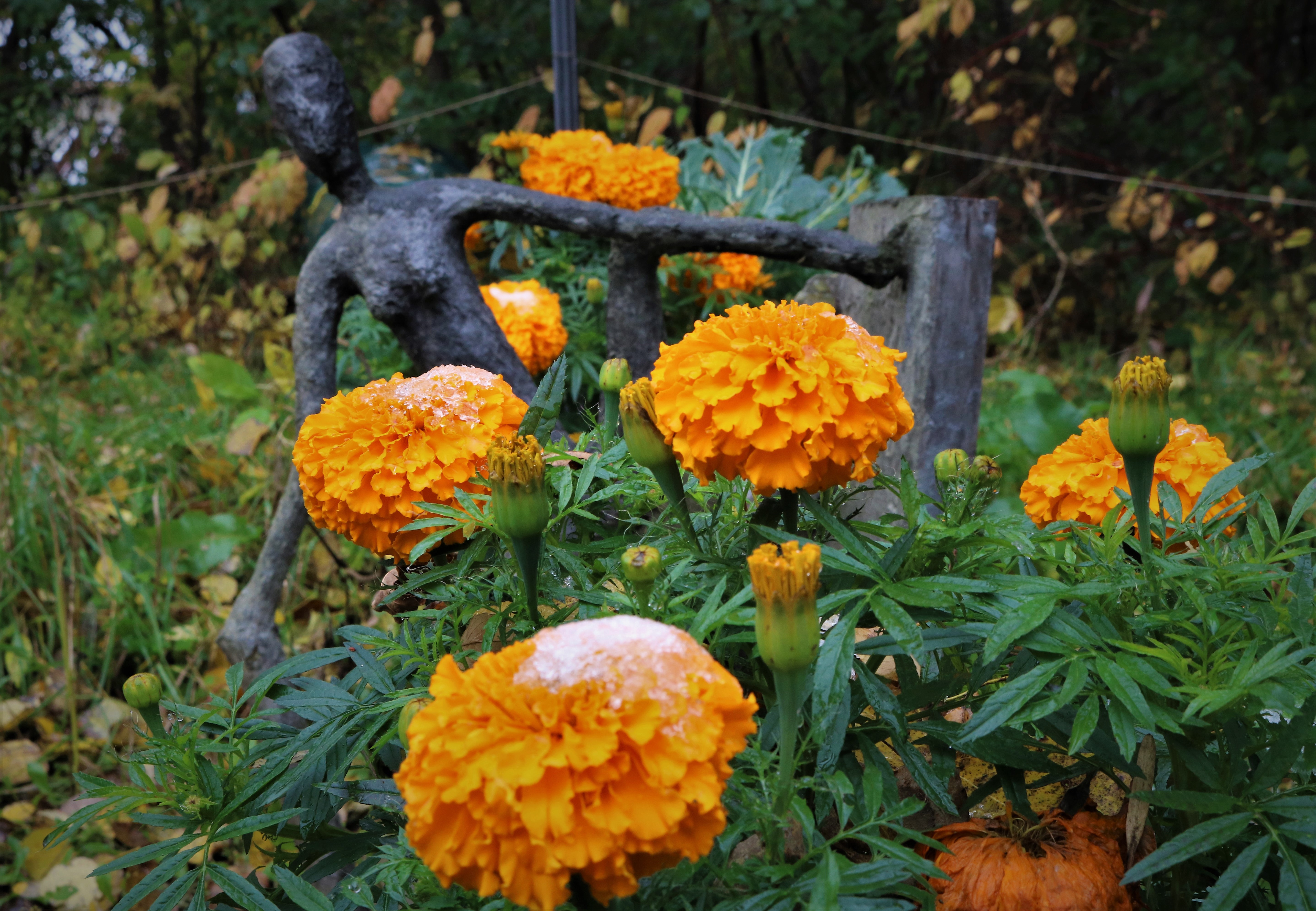 Soon we must sleep by Kirk Eckstine — image 1 of 5