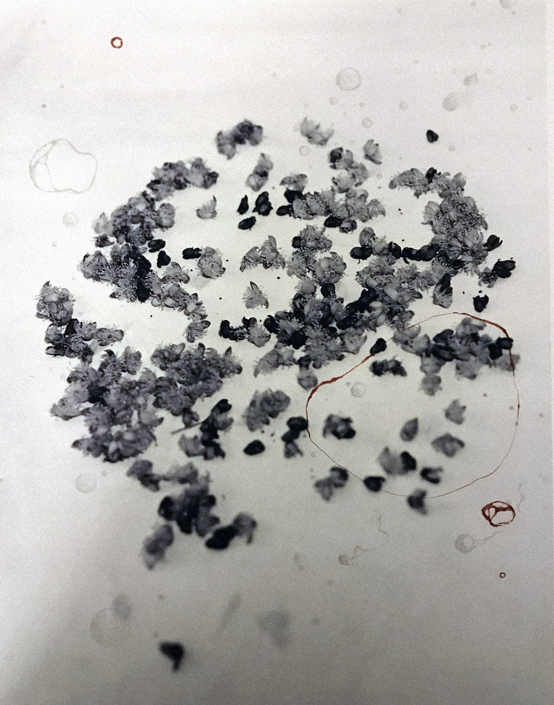 Haruspicy by Tara Cronin — image 1 of 5