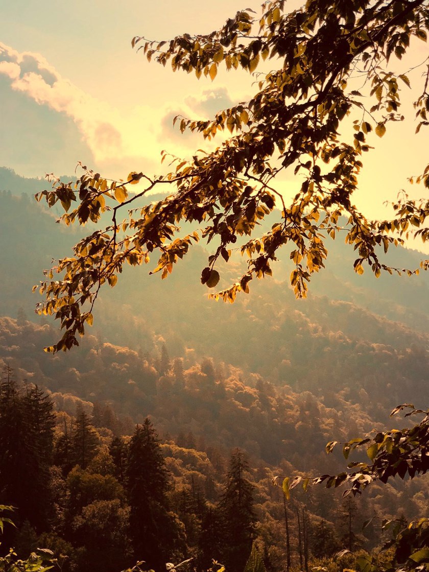 Photography ​ by Russell Whaley — image 2 of 4