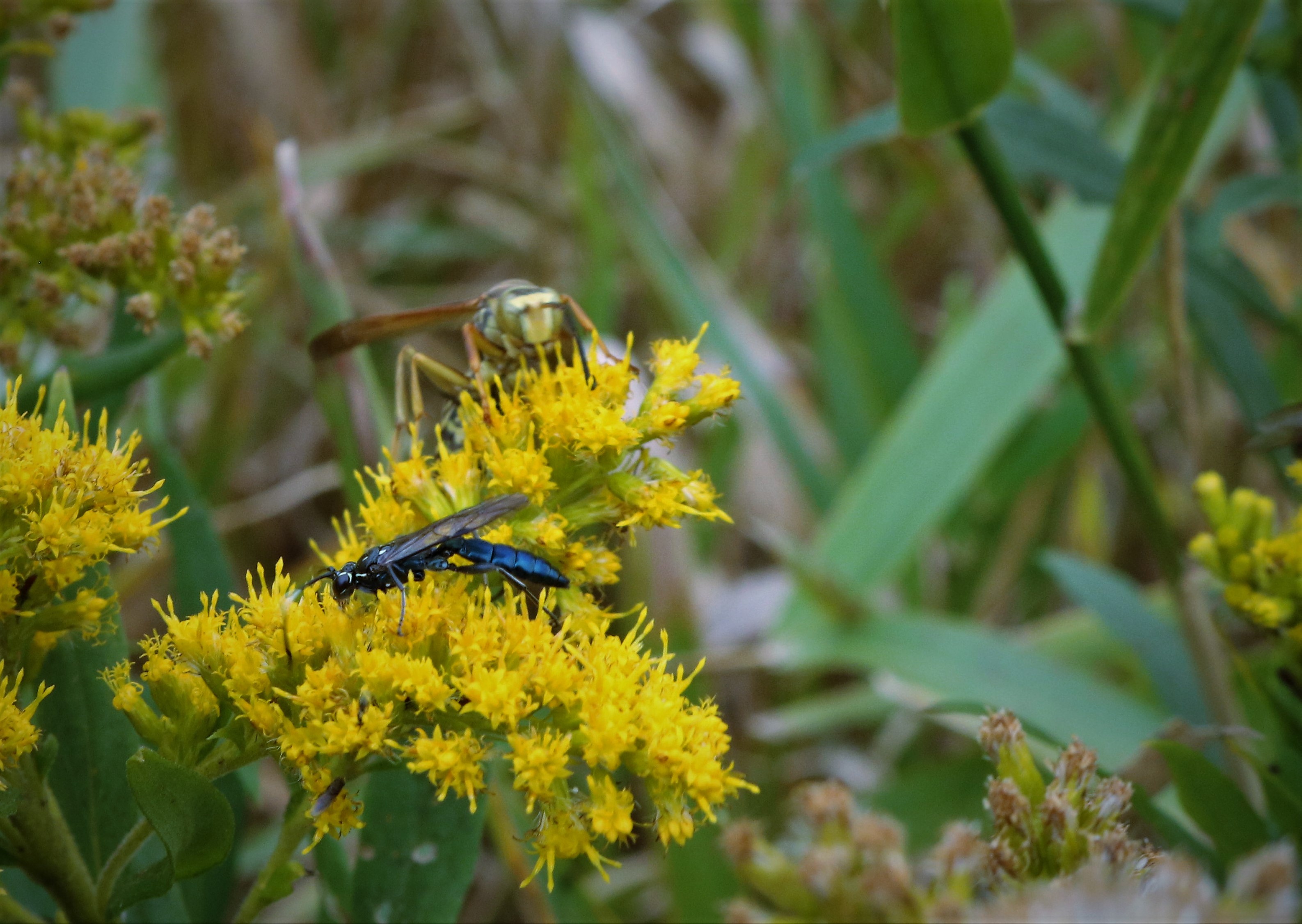 Soon we must sleep by Kirk Eckstine — image 3 of 5