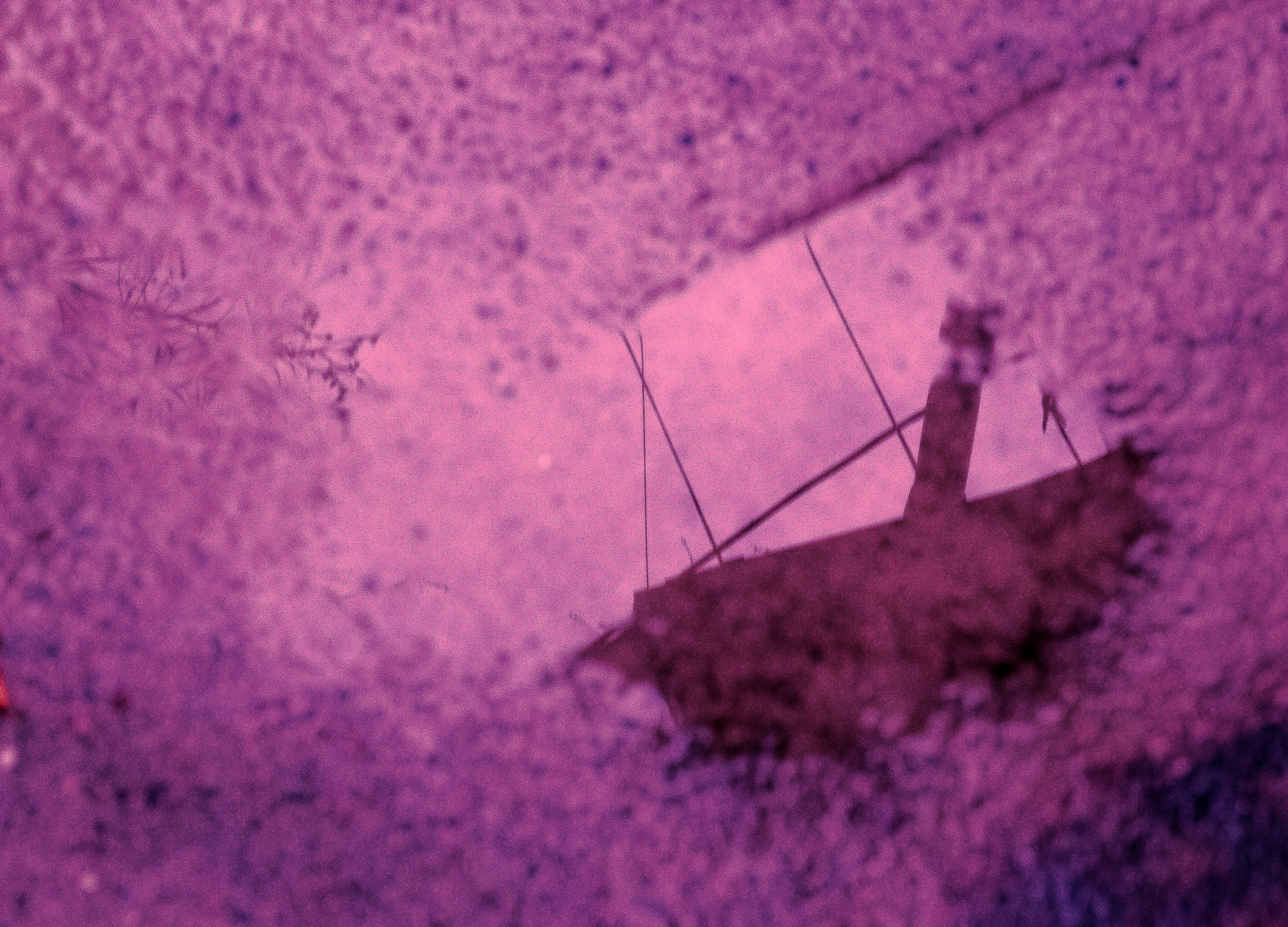 Reflections by Ace Ferrer — image 2 of 5