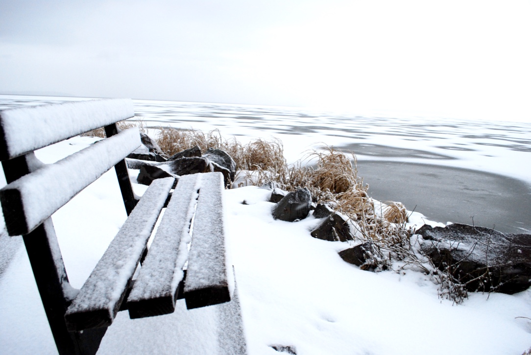 Midwinter Night's Dream by Aubrey Ann Laughlin — image 2 of 6