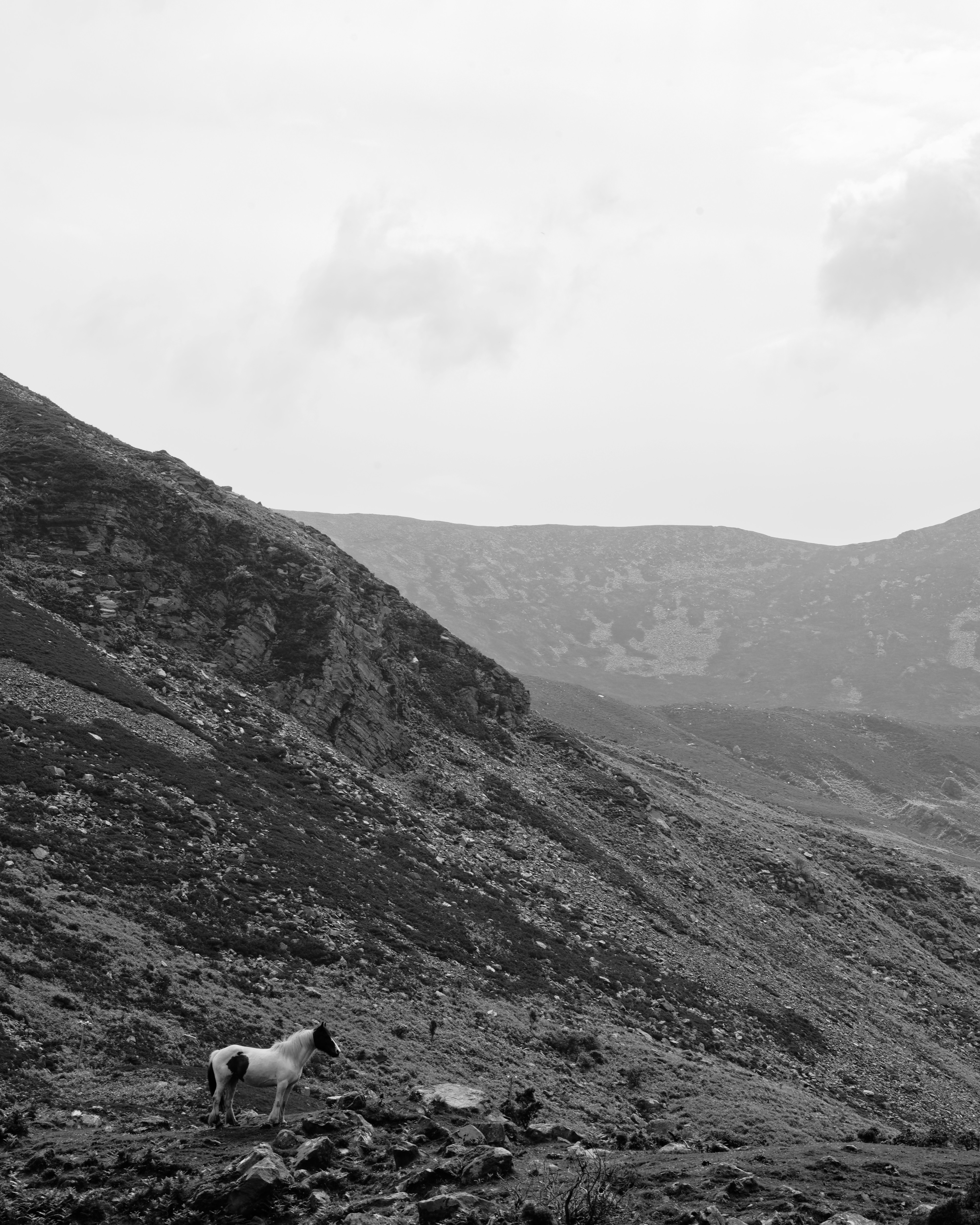 Unaware by Joel Thomas Blackstock — image 1 of 5