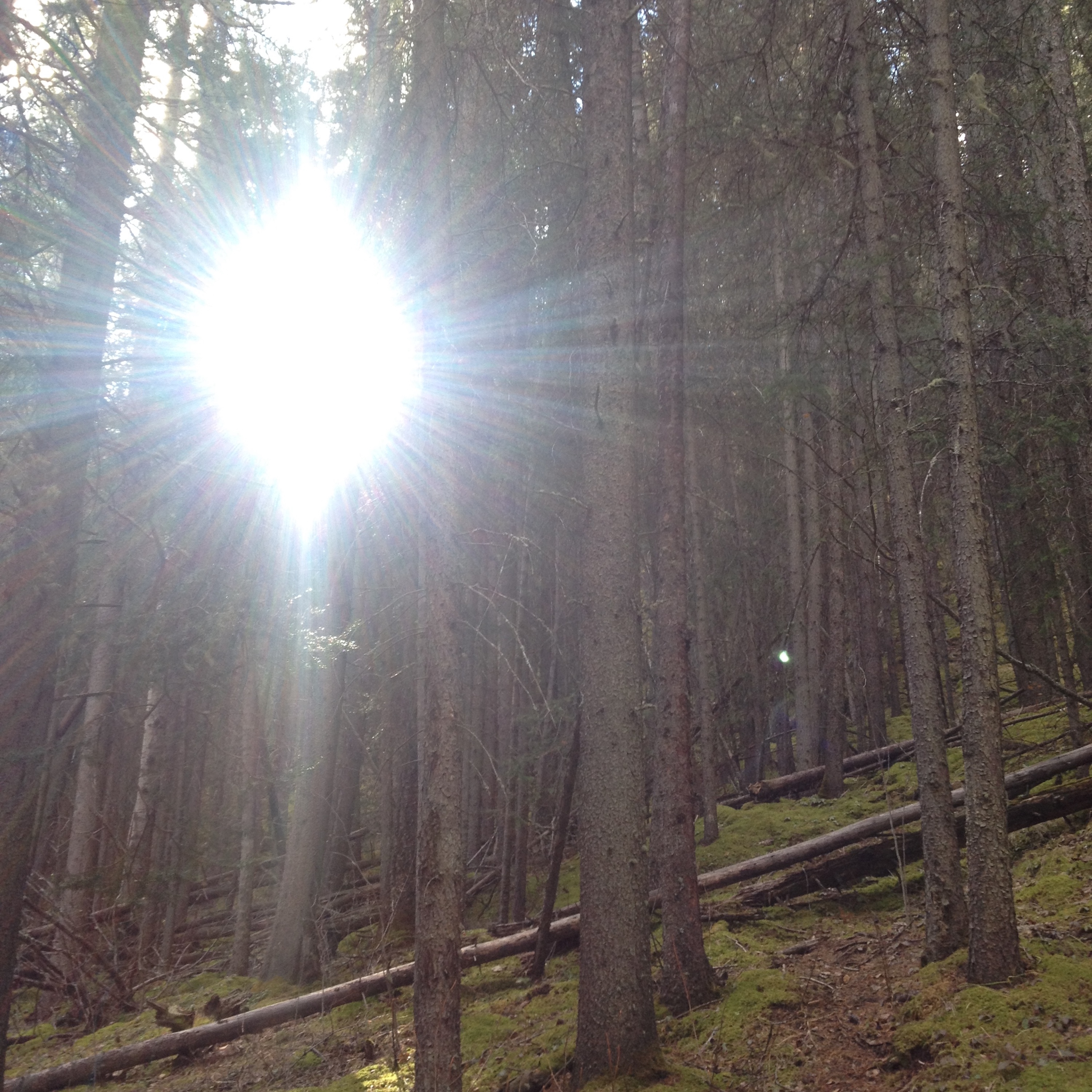 Lone Worshiper by Sarah Deckro — image 3 of 5