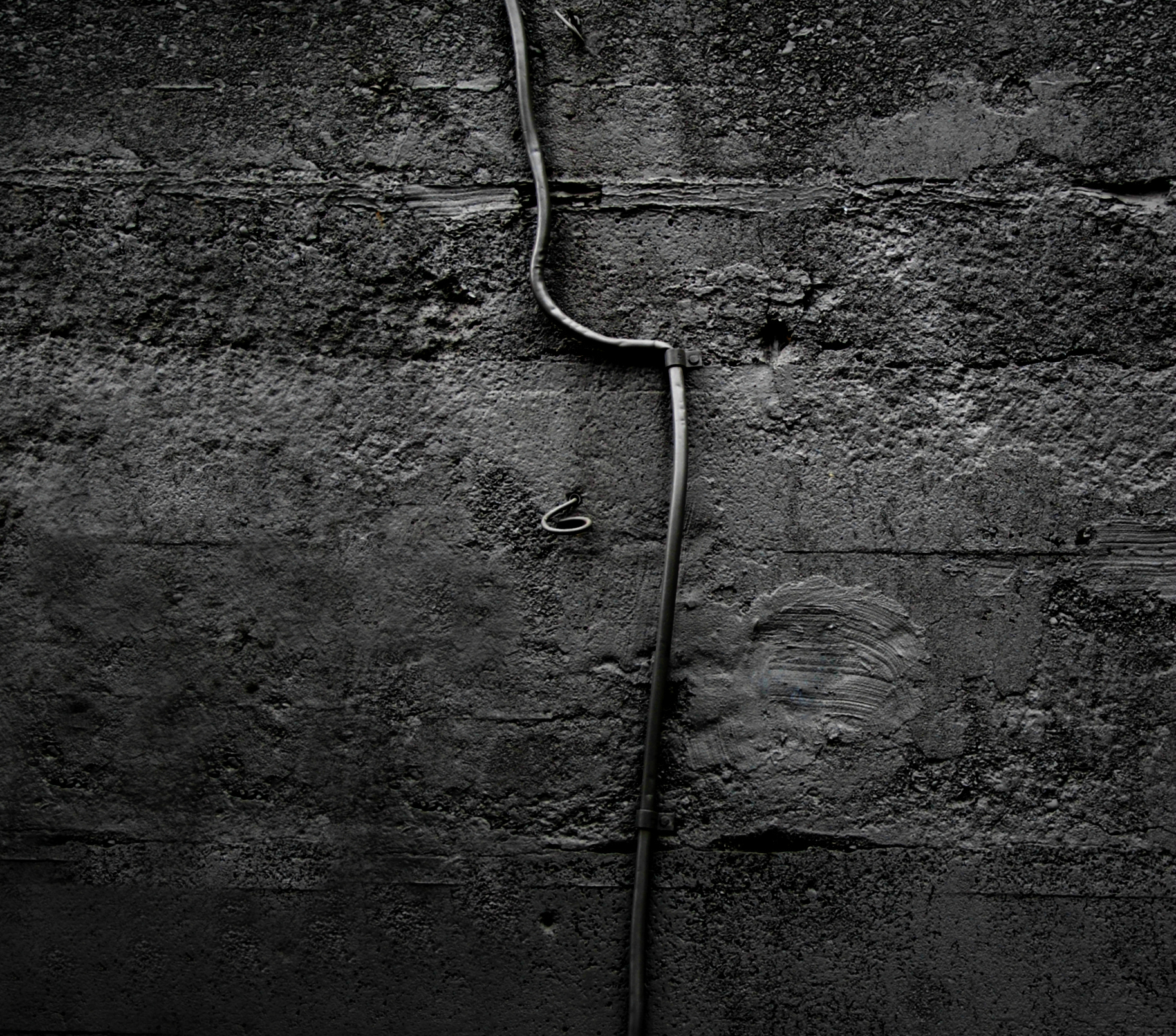 Gillaspy Photography by Thomas Gillaspy — image 1 of 5