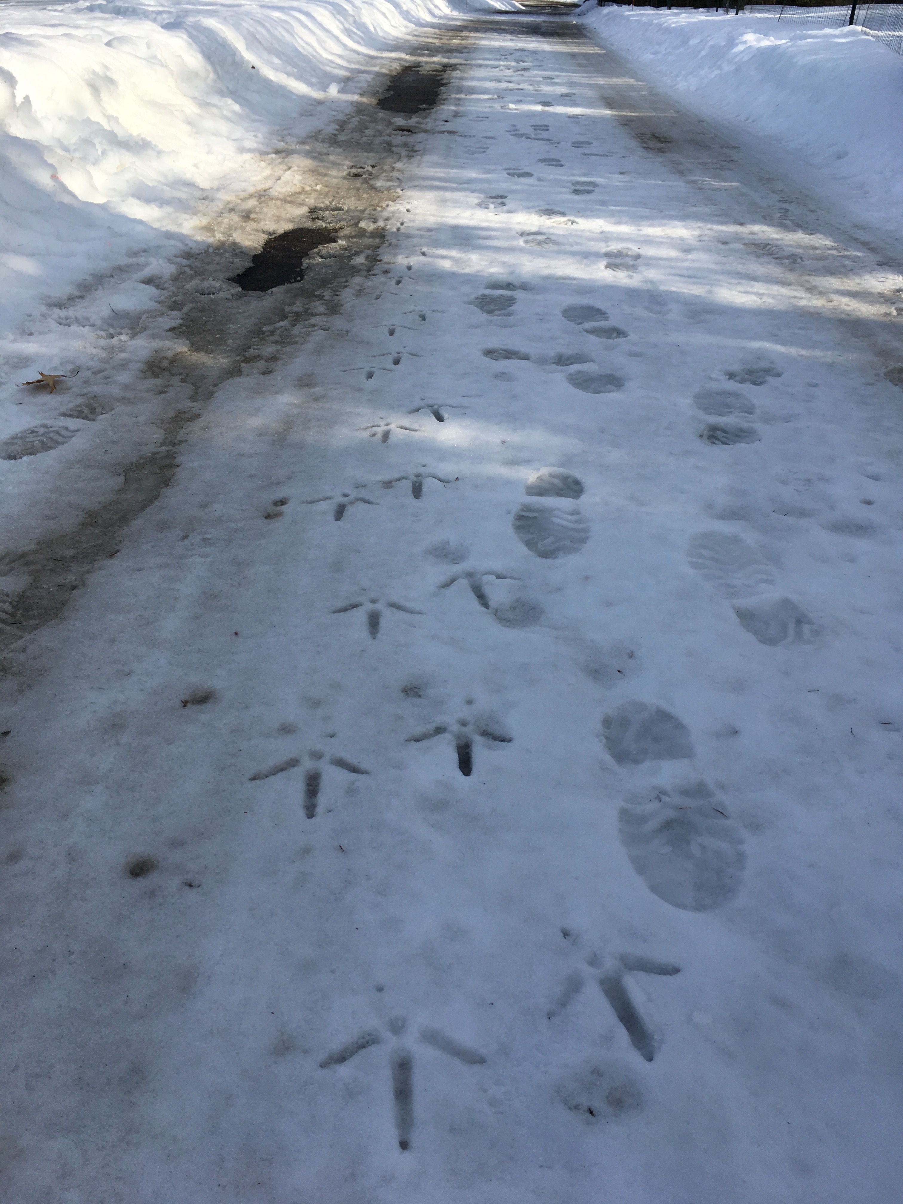 Winter Ideas by Martha Nance — image 1 of 5