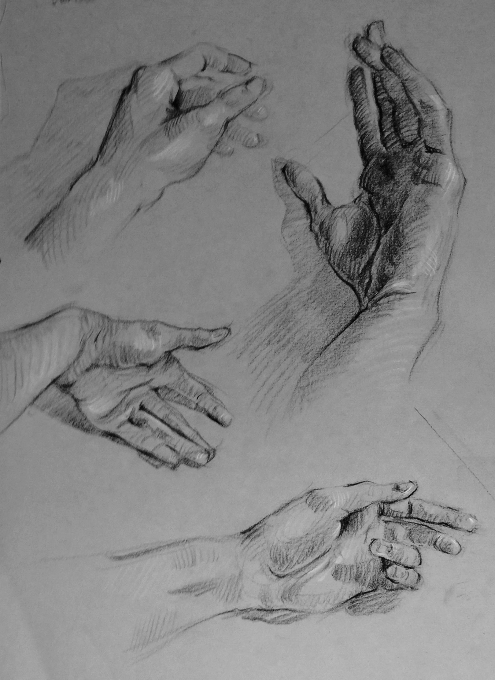 Hands 1, 2, 3, 4, 5 by Drake Truber — image 3 of 5