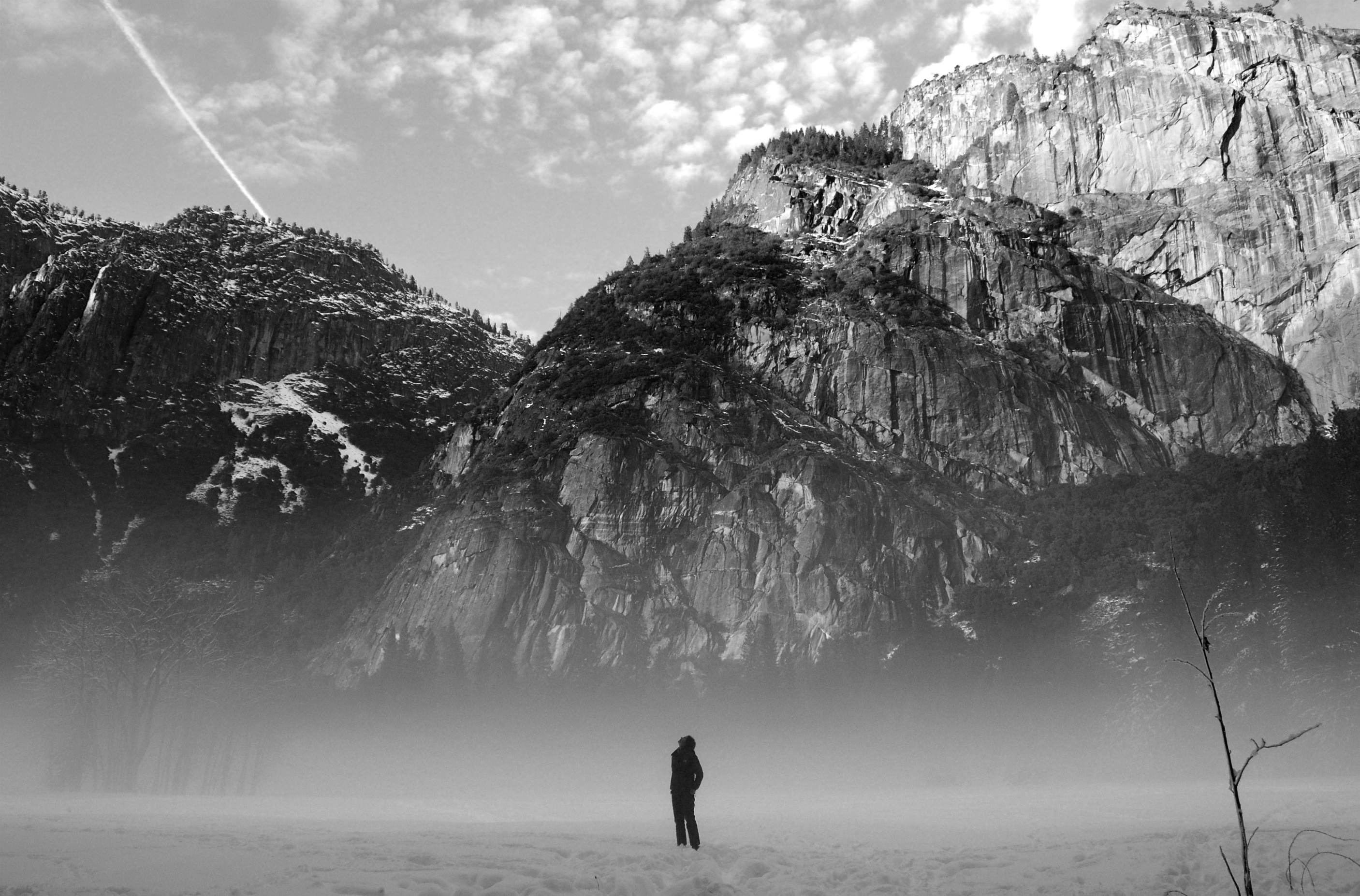 Midwinter Night's Dream by Aubrey Ann Laughlin — image 3 of 6