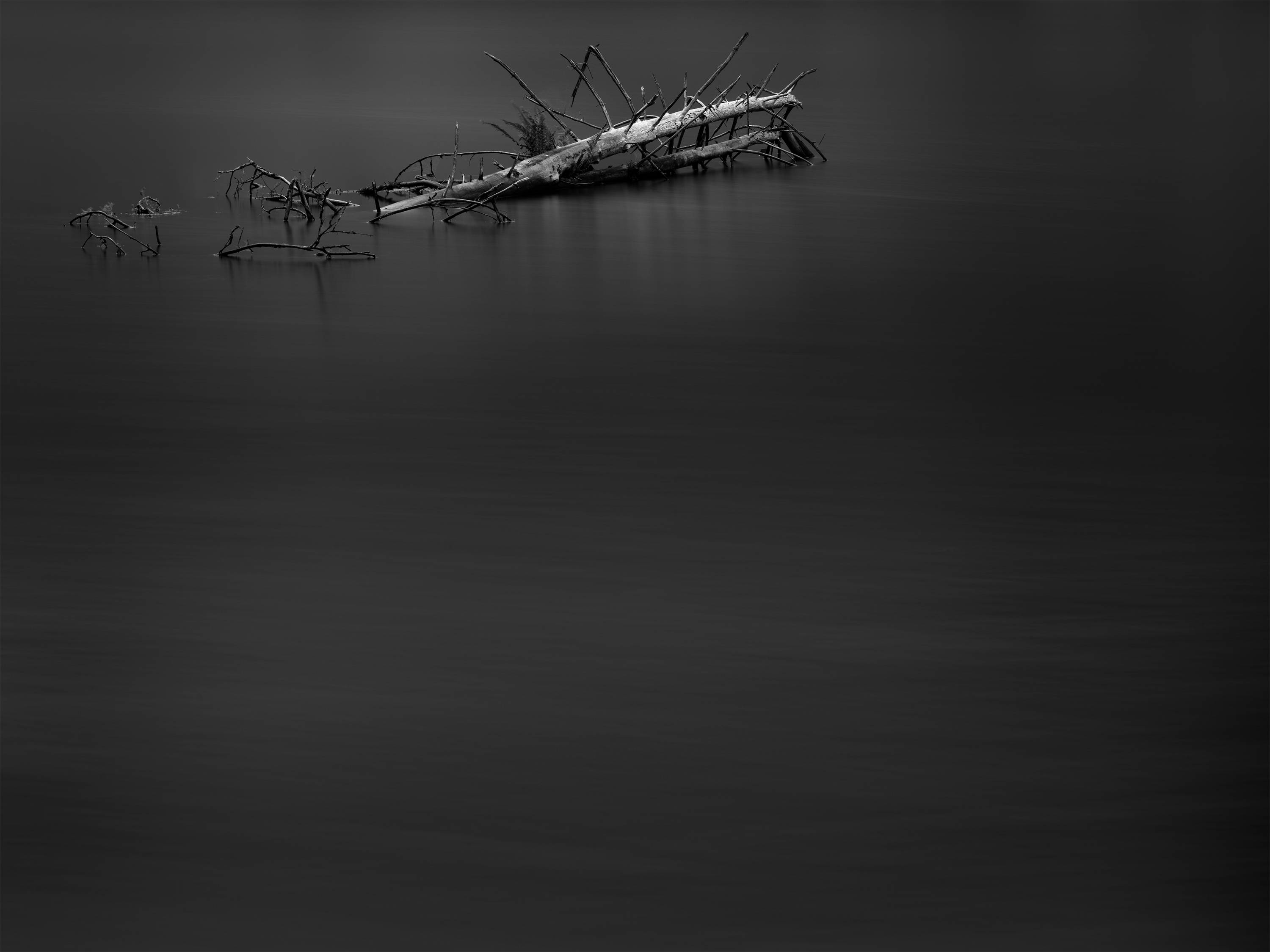 Everything is Full of Gods by Pacific Northwest — image 2 of 5