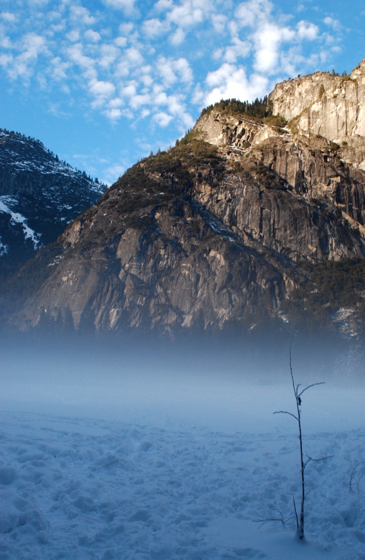 Midwinter Night's Dream by Aubrey Ann Laughlin — image 4 of 6