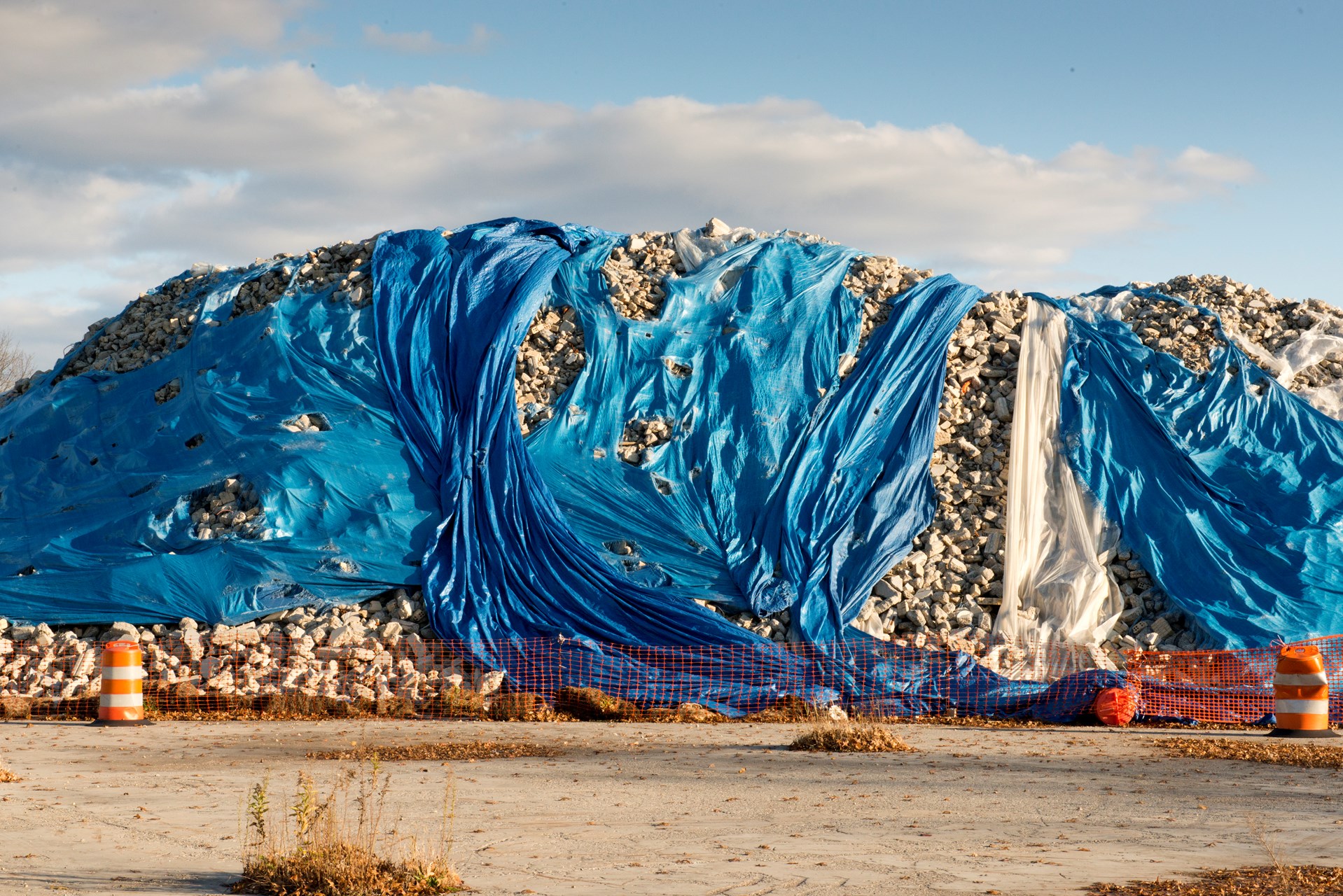 The Shape of A Feeling and by Nina Isabelle — image 1 of 5