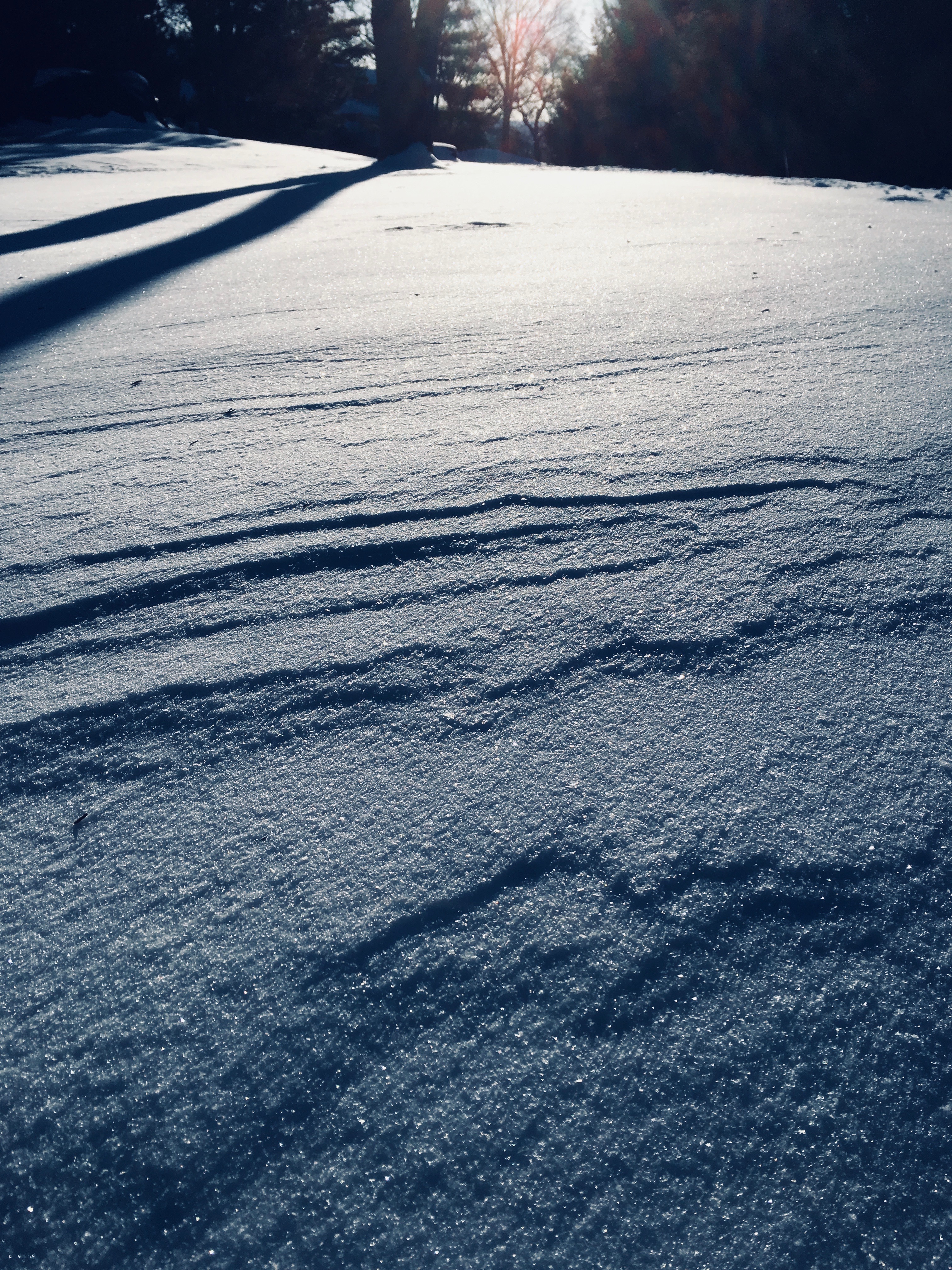 Winter Ideas by Martha Nance — image 2 of 5