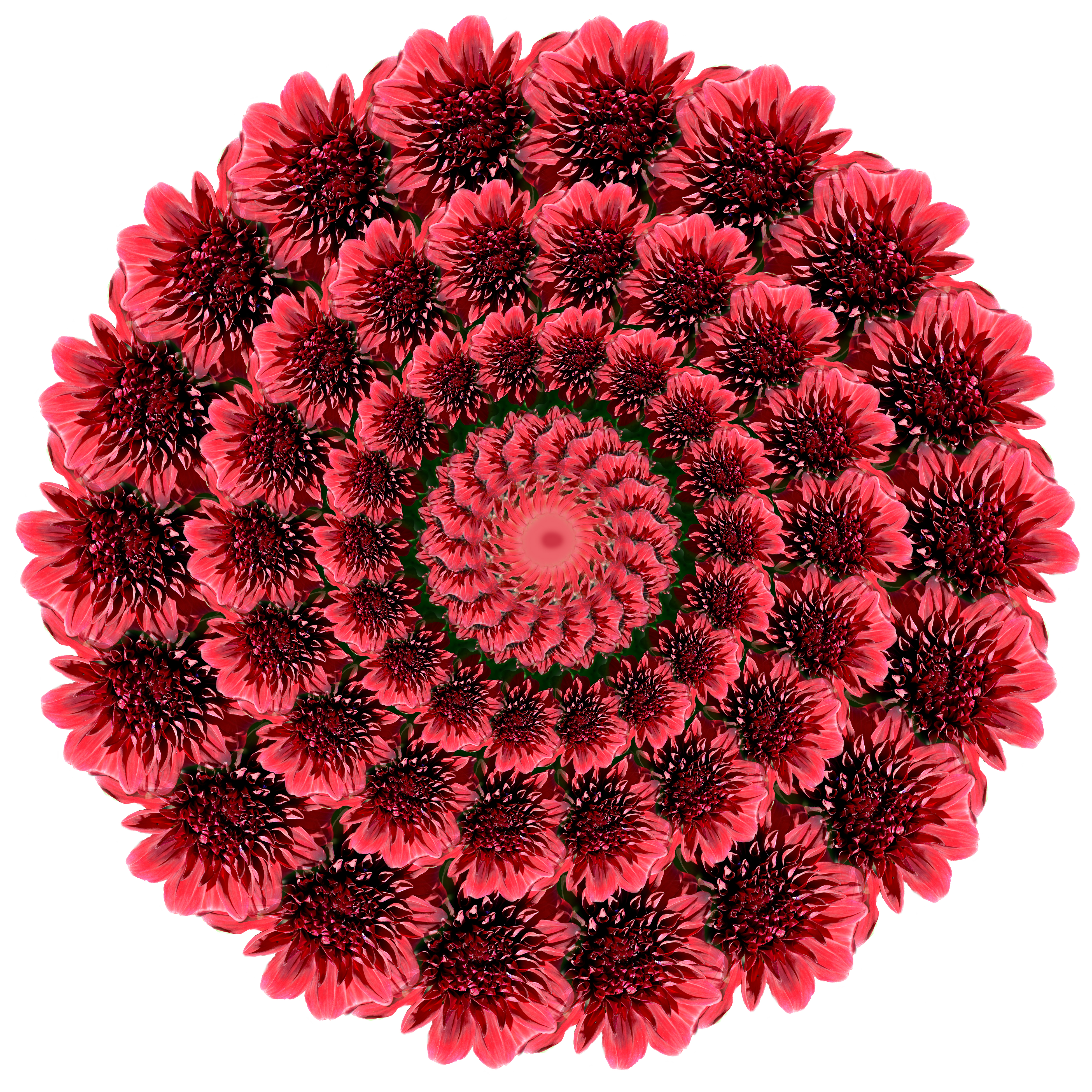 Flower Circles by Harold Olejarz — image 2 of 6