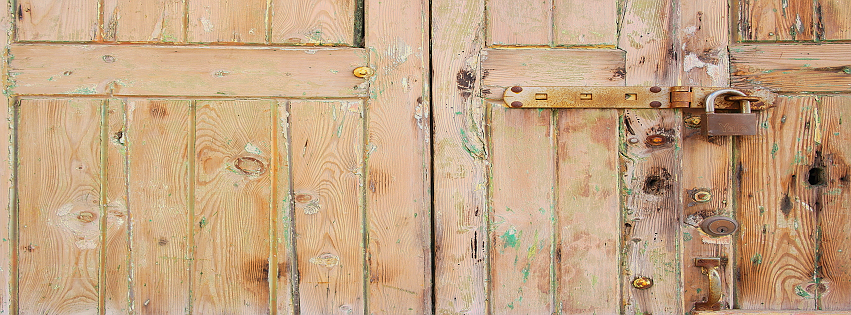 termite reverie by Rim Afana — image 3 of 5