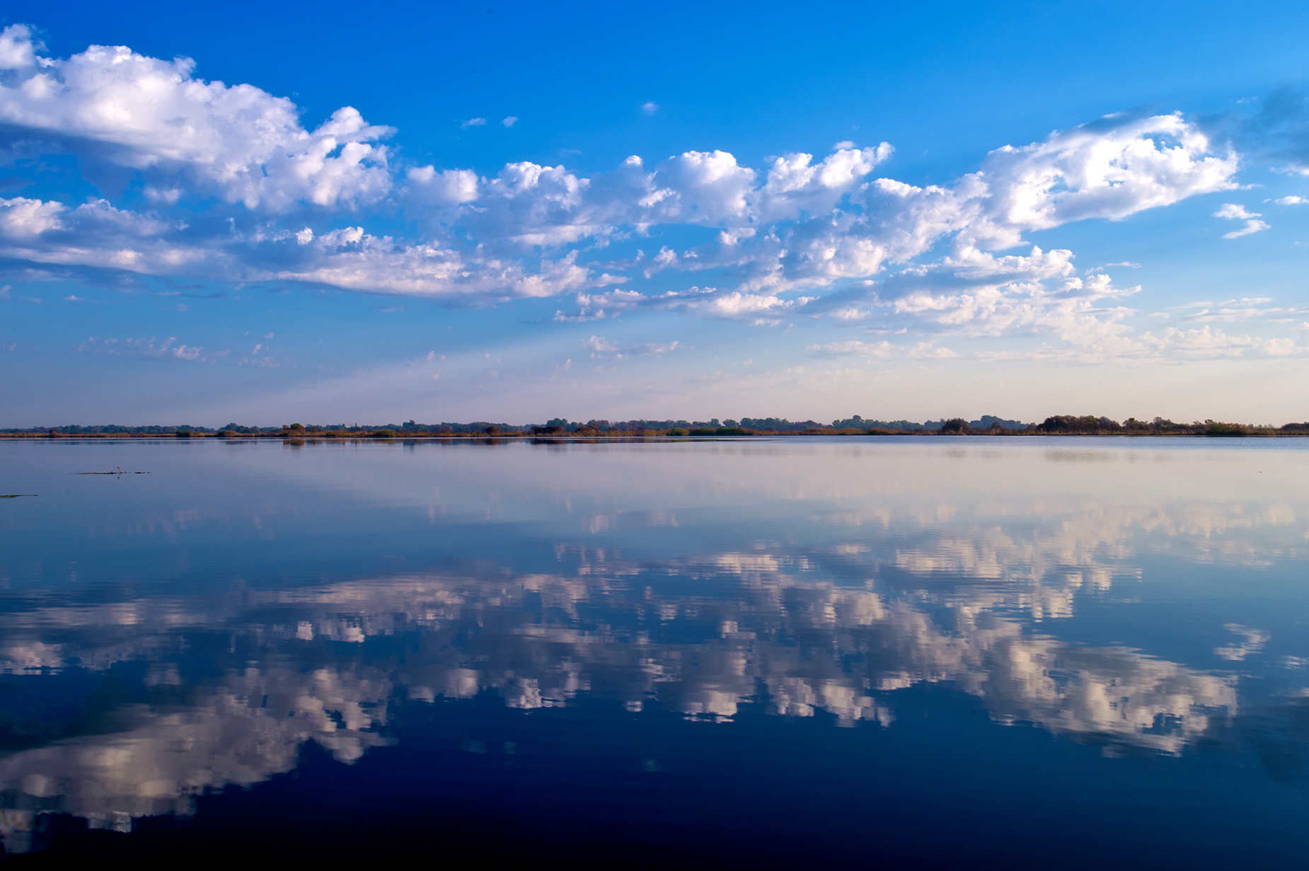 Okavango Delta Reflections by Jeremiah Gilbert — image 2 of 5