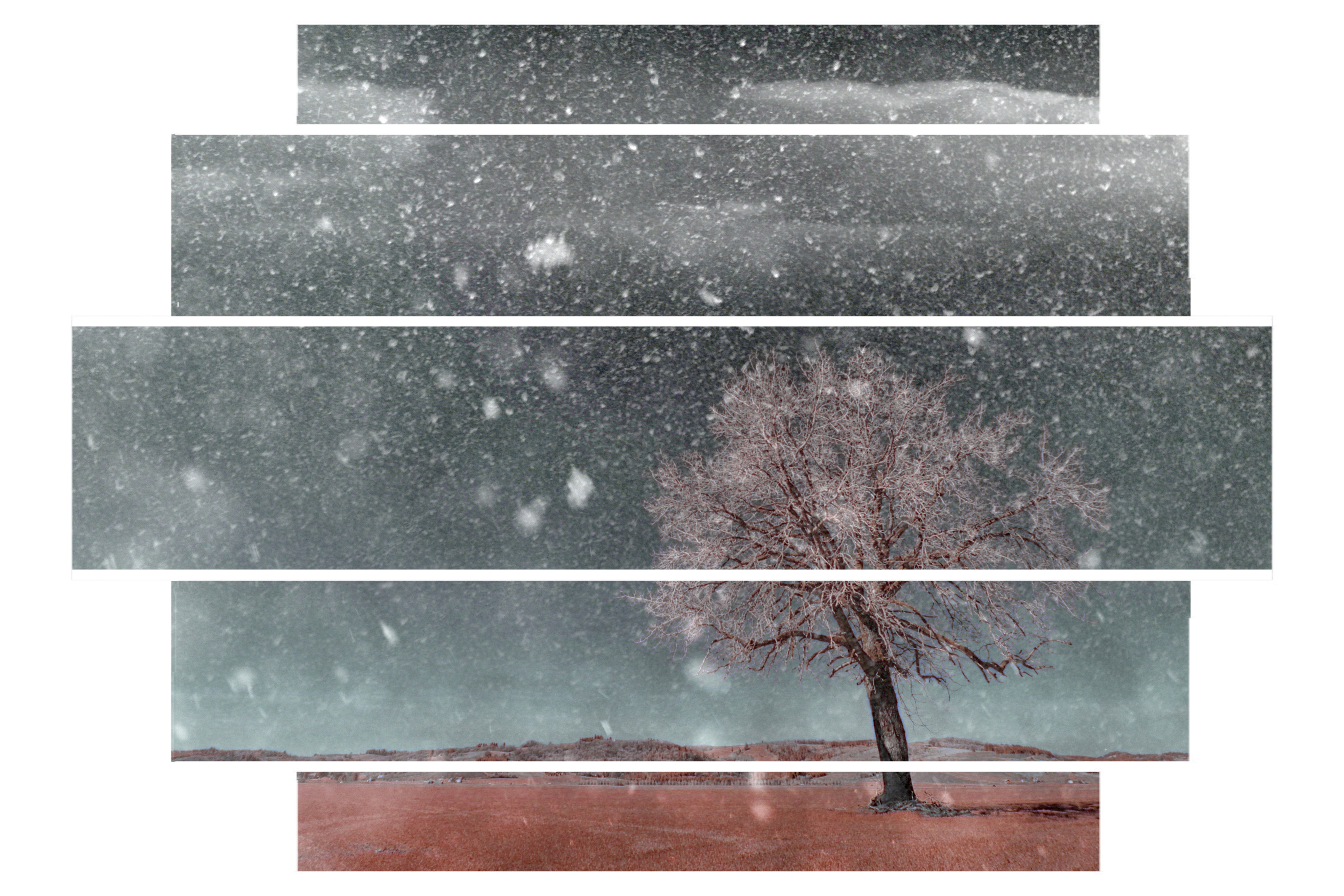 Rural Routes by River Teeth — image 2 of 5