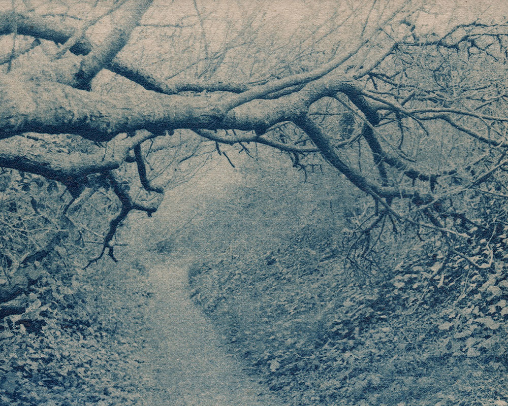 Solitary by Jing Lin — image 1 of 5