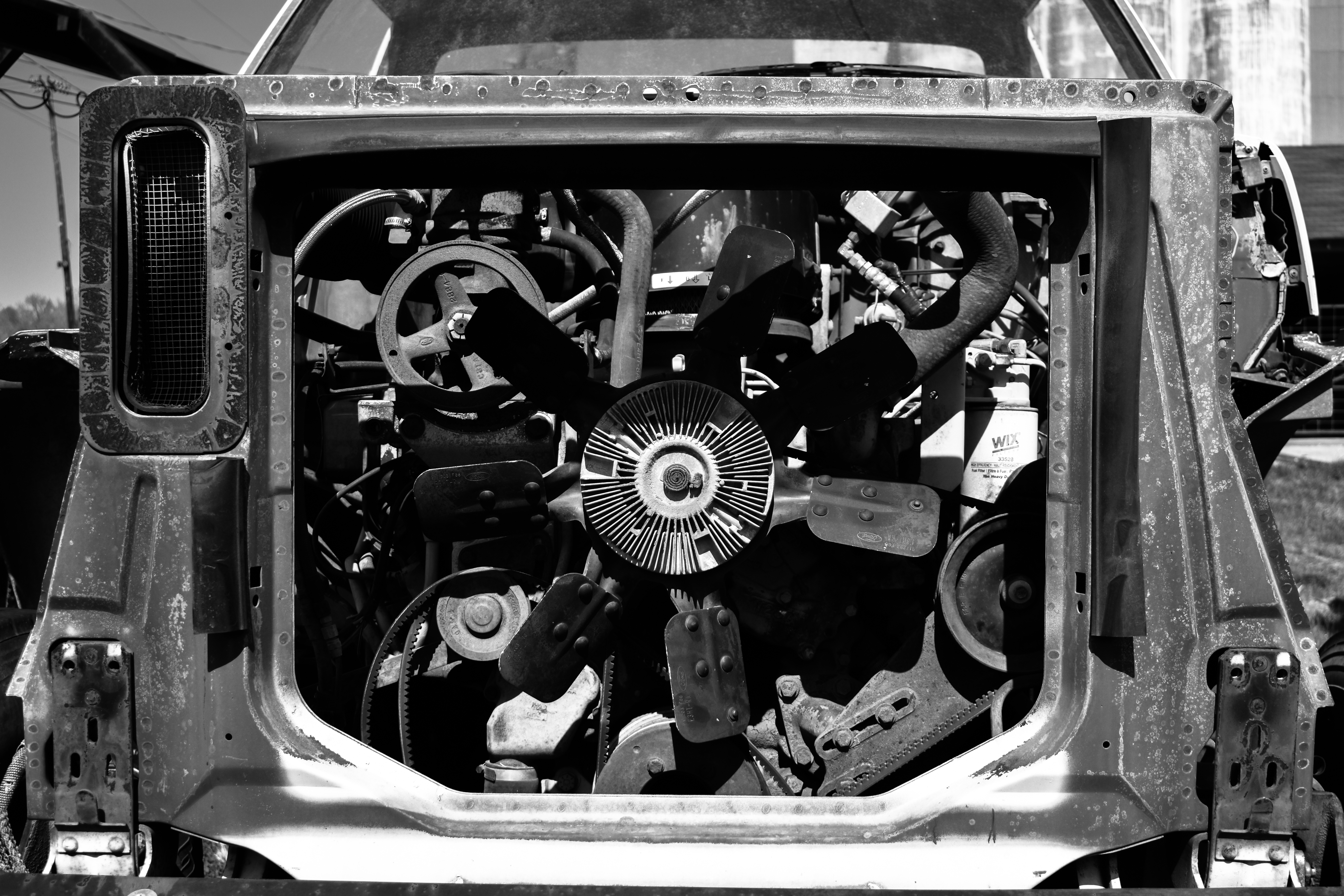 (Un)Natural by Nathan D Holloway — image 1 of 3