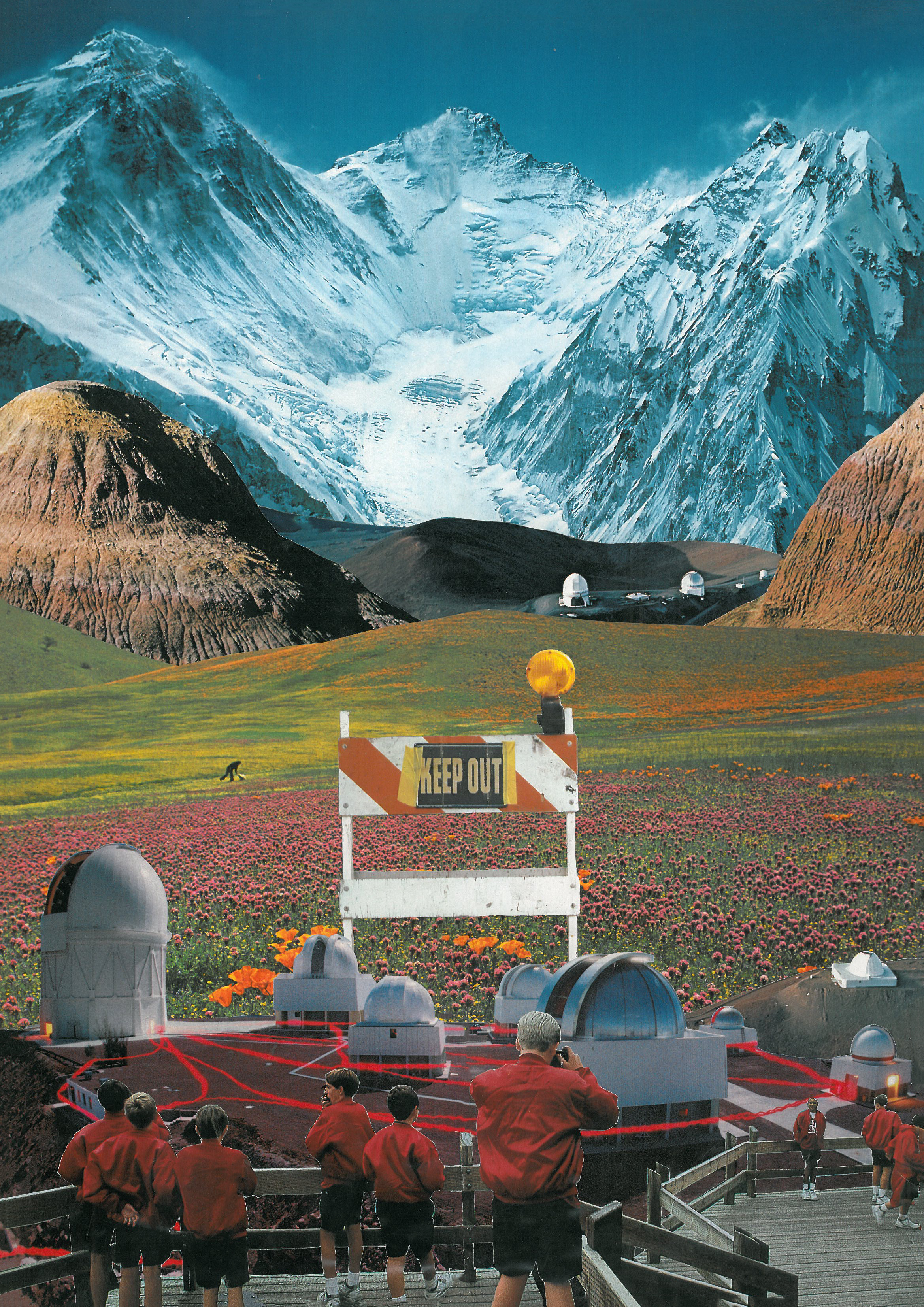 Surreal Assemblage by Martine Mooijenkind — image 4 of 5