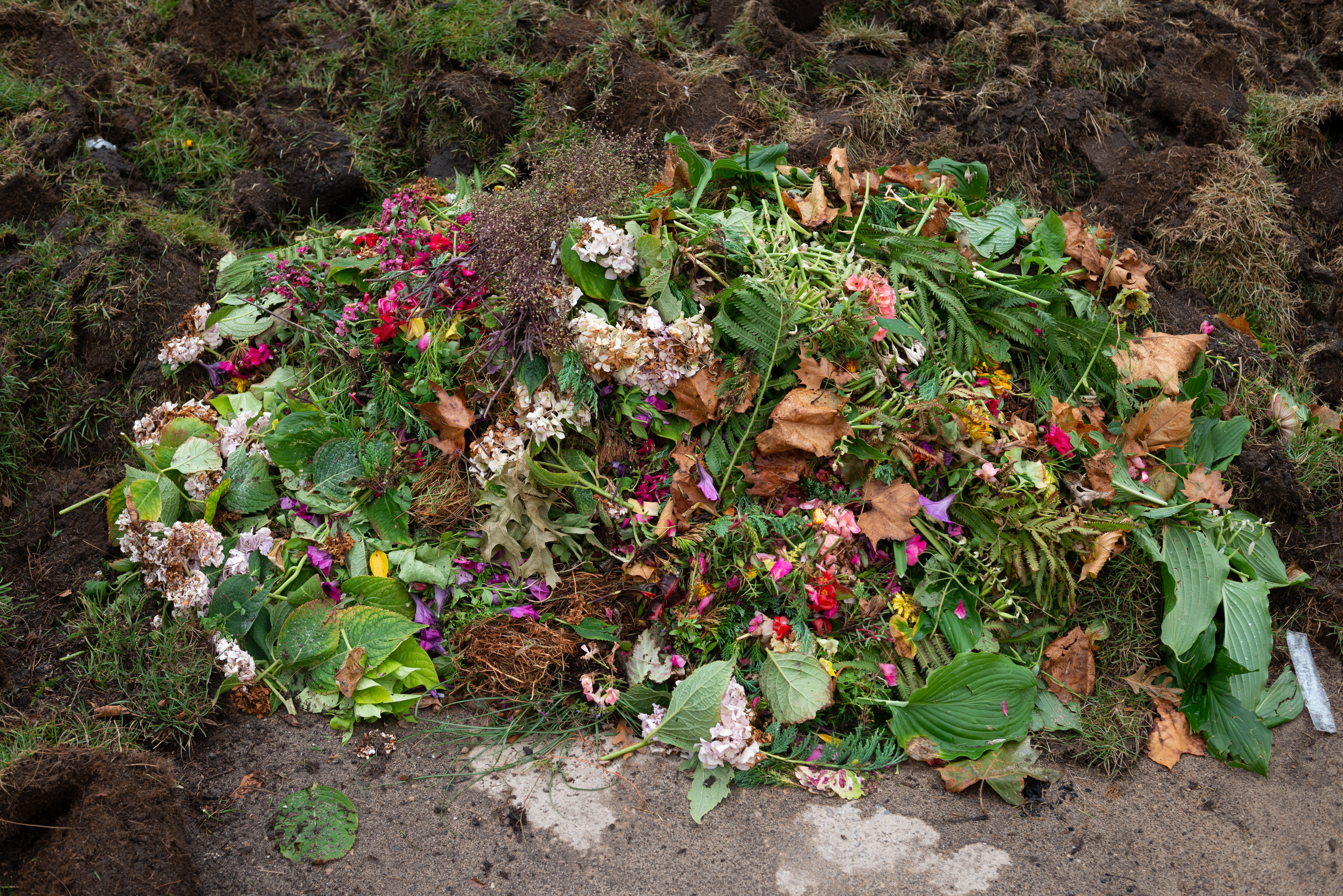 The Shape of A Feeling and by Nina Isabelle — image 2 of 5