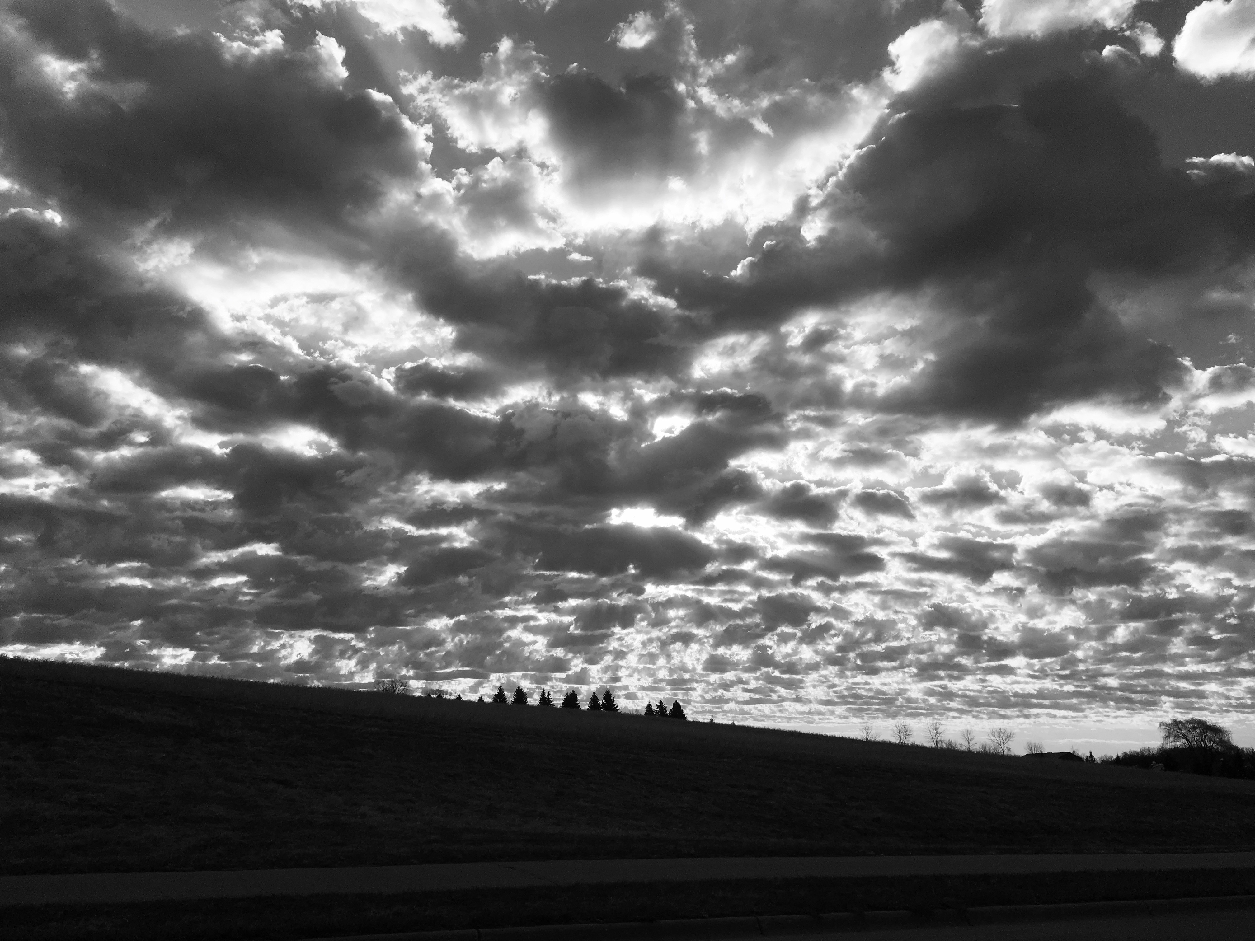 Black and White by Martha Nance — image 1 of 4