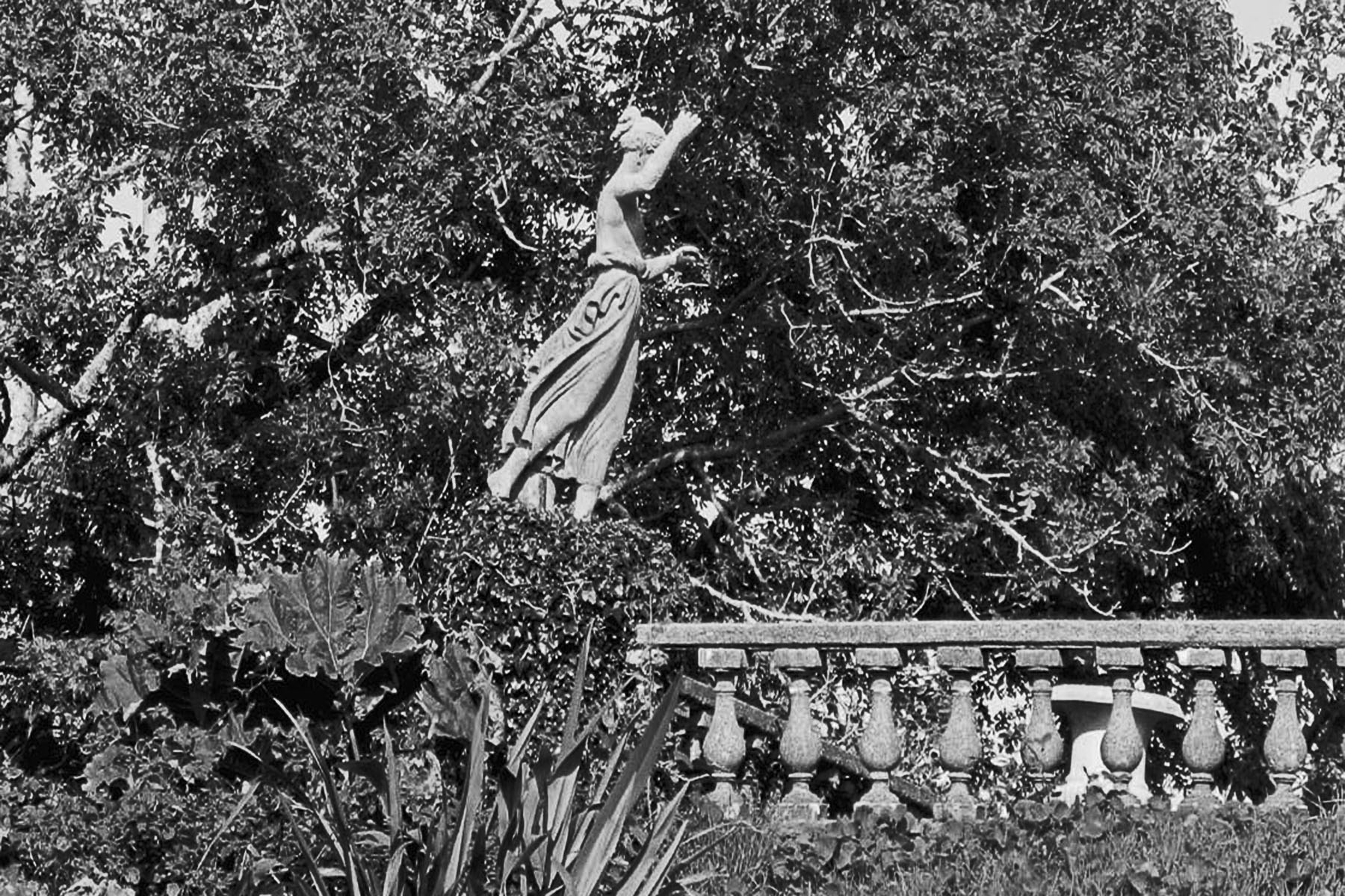 Photography by Creative Nonfiction — image 2 of 6