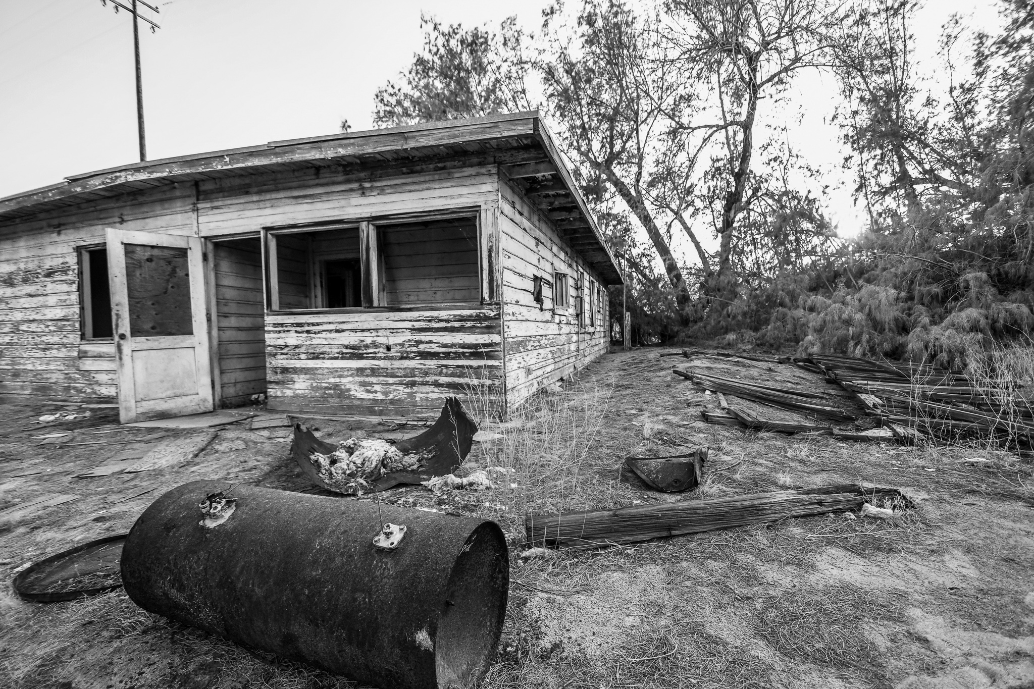 Life in Black & White by Kevin Morris — image 1 of 4