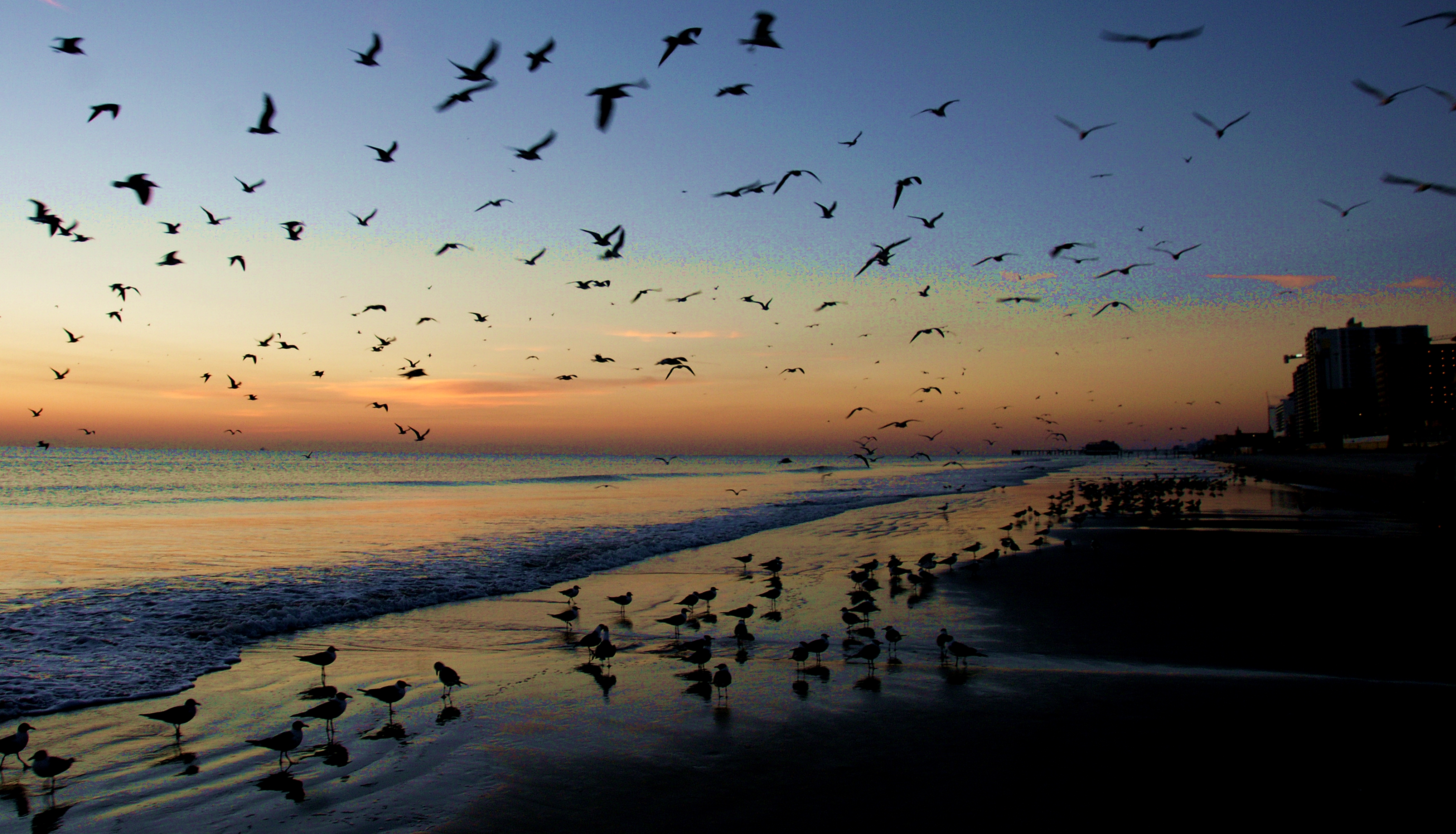 waiting for the sun by George L Stein — image 2 of 6