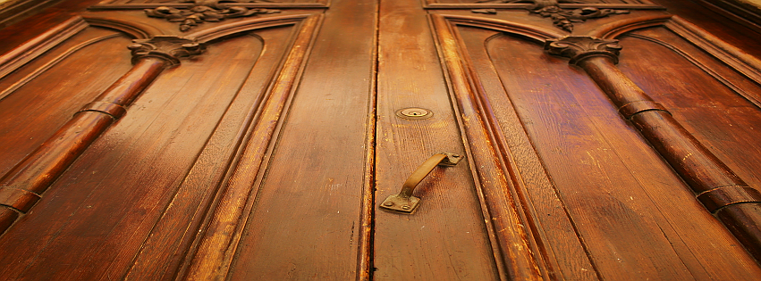 termite reverie by Rim Afana — image 4 of 5