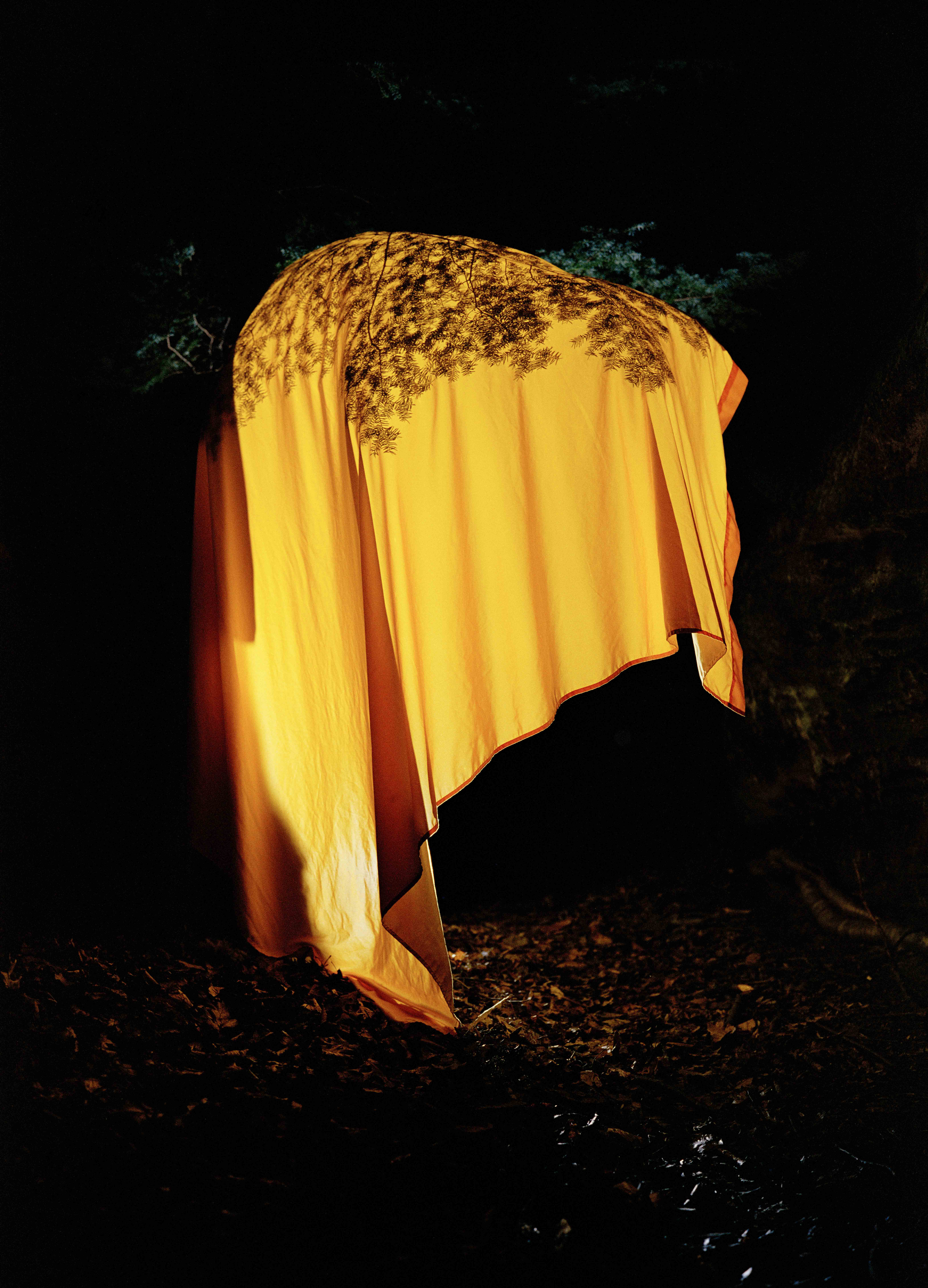 There and Lack Thereof by Joey Aronhalt — image 3 of 3