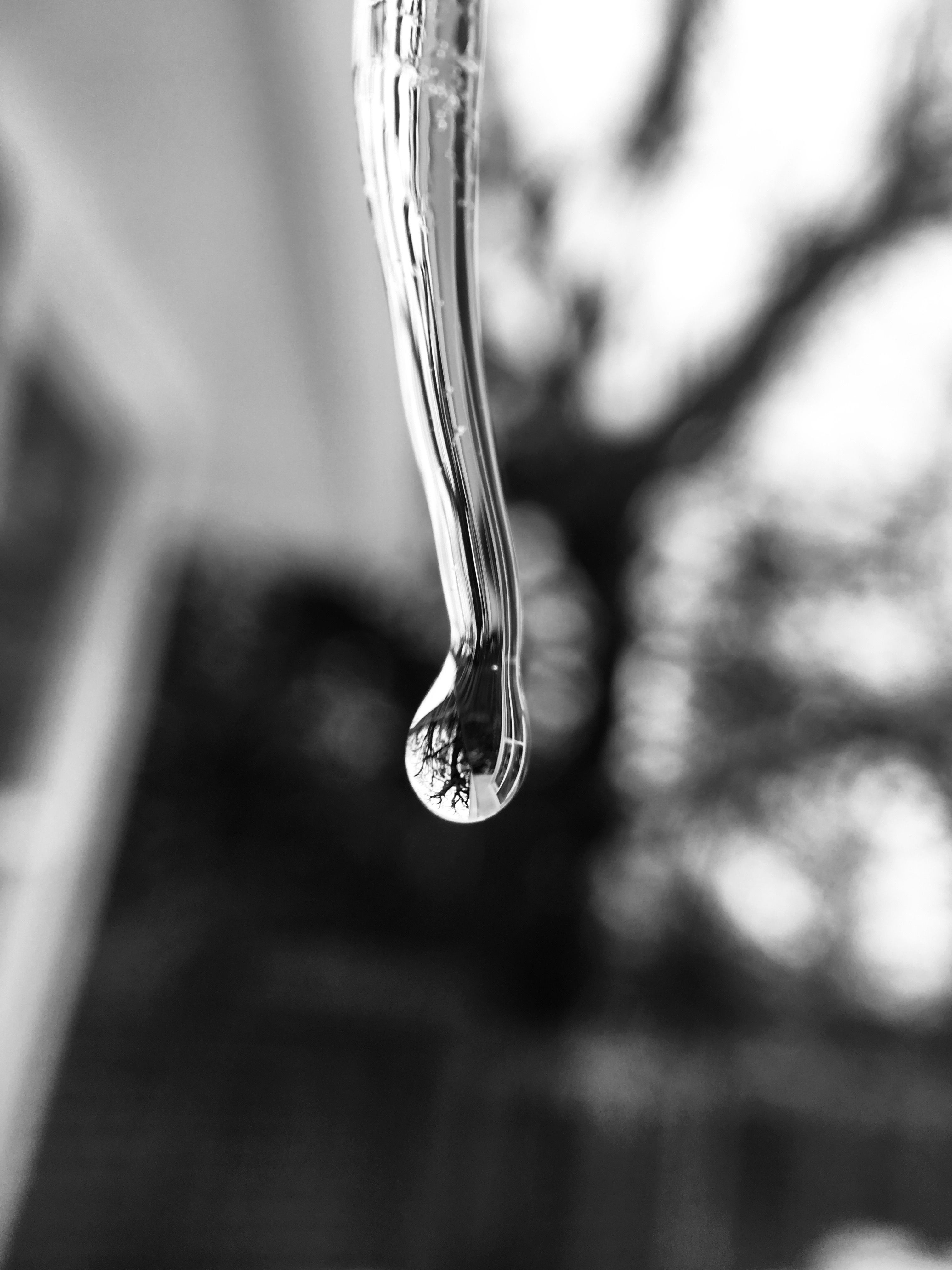 Winter Ideas by Martha Nance — image 4 of 5